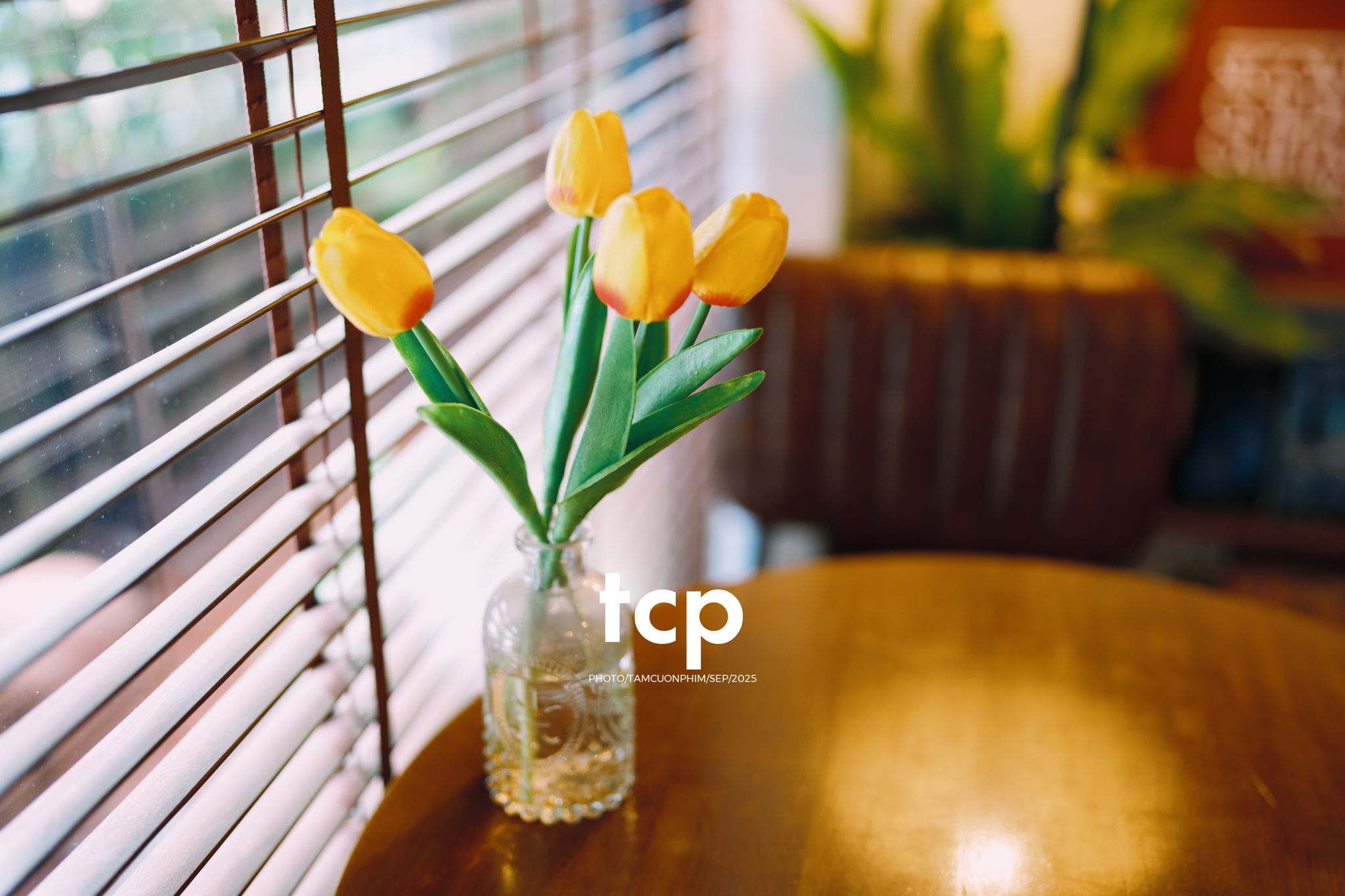 Tám Cuộn Phim - Góc nhỏ bình yên cho tâm hồn "ghiền" cafe