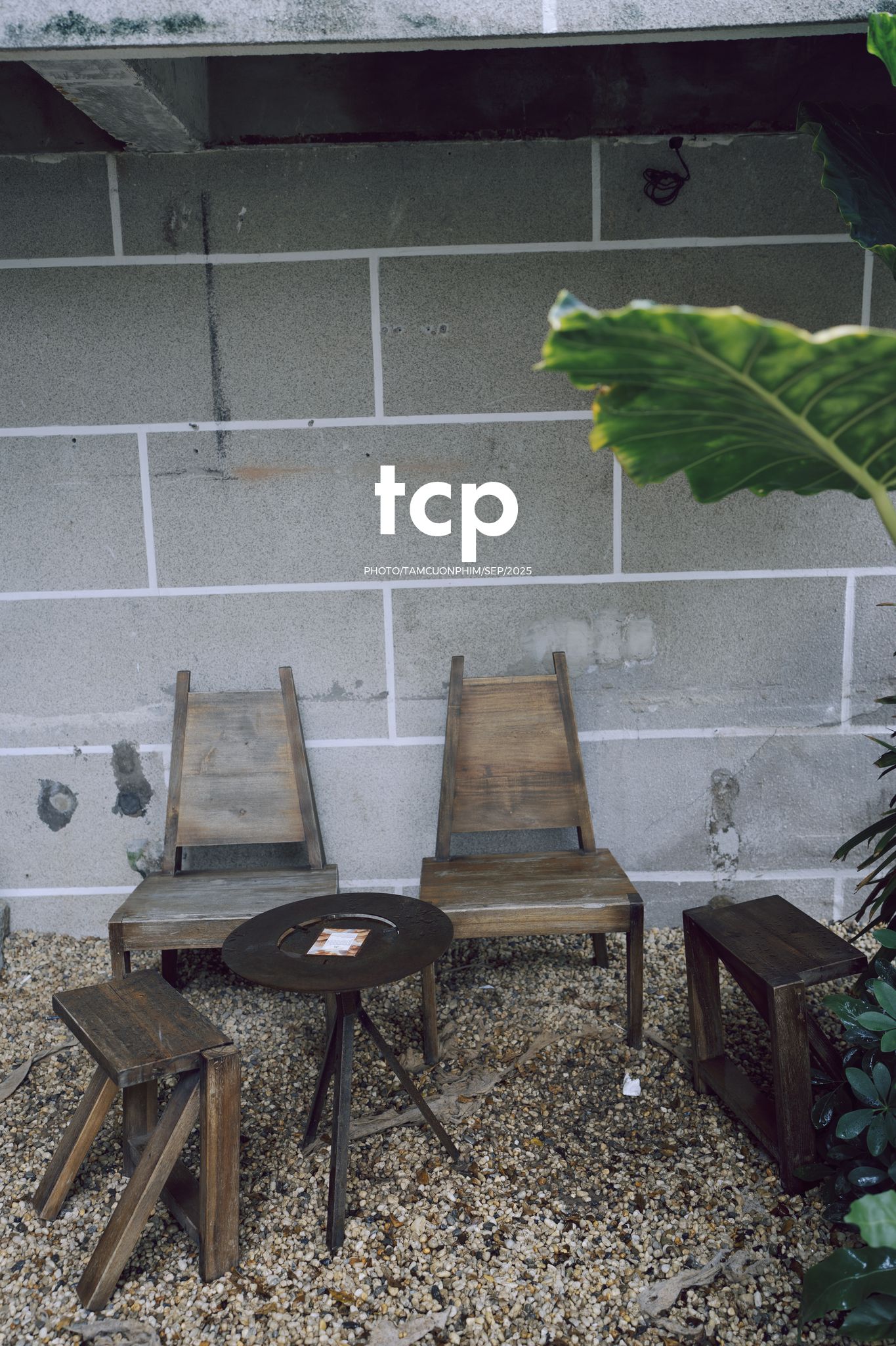 Tám Cuộn Phim - Chất cảm bê tông và những khoảng sáng hữu cơ