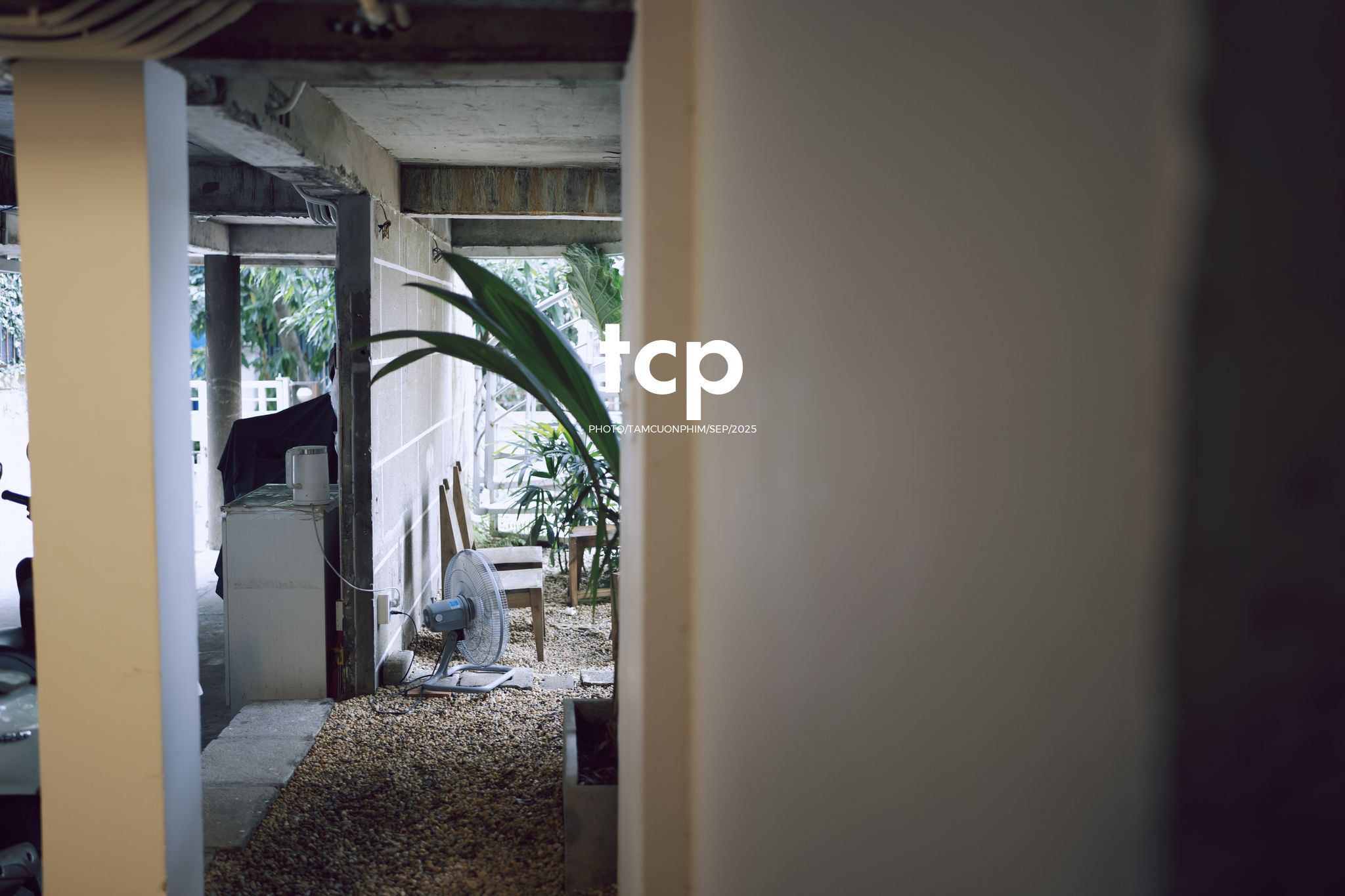 Tám Cuộn Phim - Chất cảm bê tông và những khoảng sáng hữu cơ