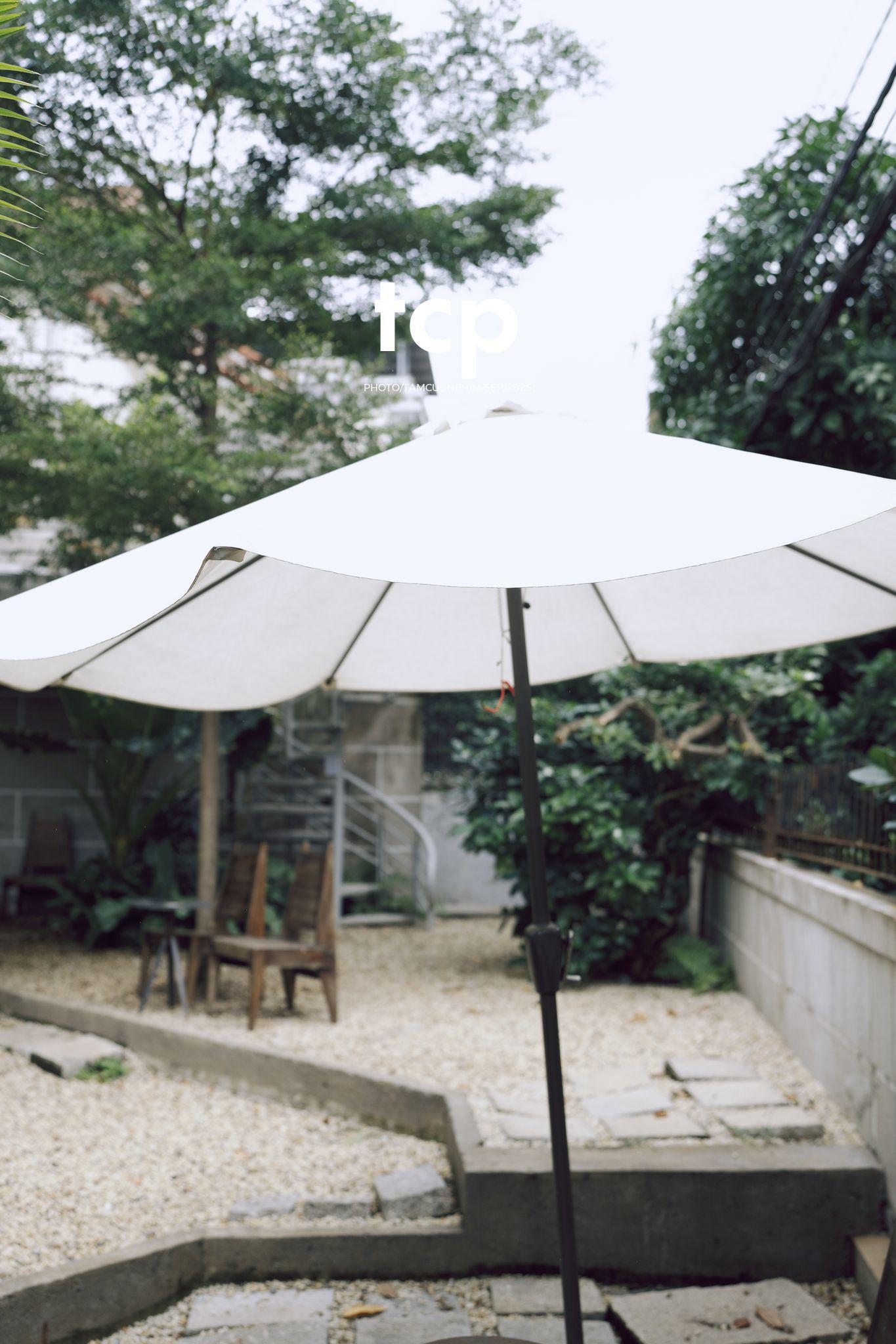 Tám Cuộn Phim - Chất cảm bê tông và những khoảng sáng hữu cơ