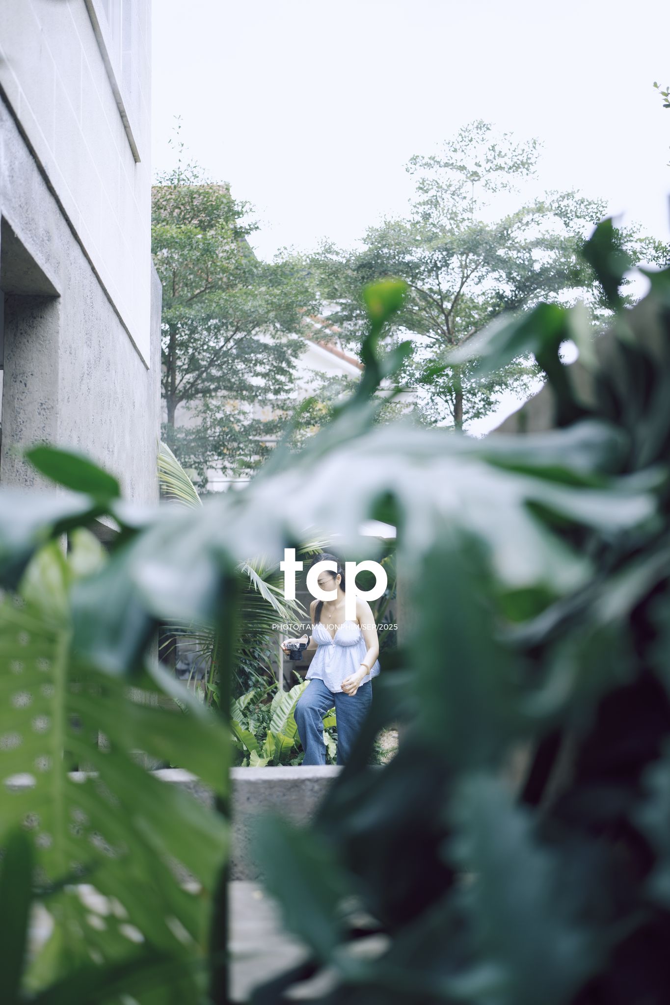 Tám Cuộn Phim - Chất cảm bê tông và những khoảng sáng hữu cơ