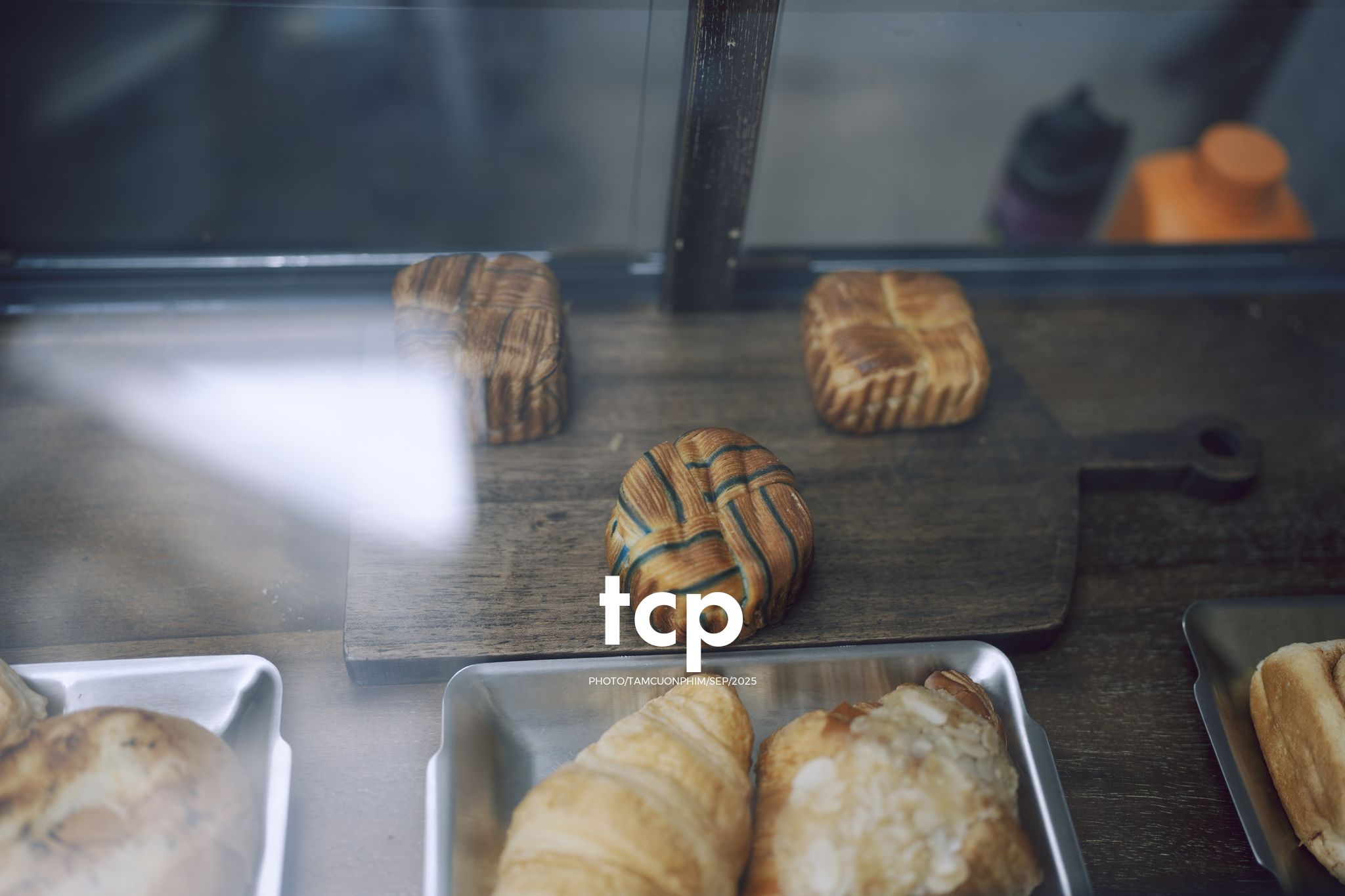 Tám Cuộn Phim - Chất cảm bê tông và những khoảng sáng hữu cơ