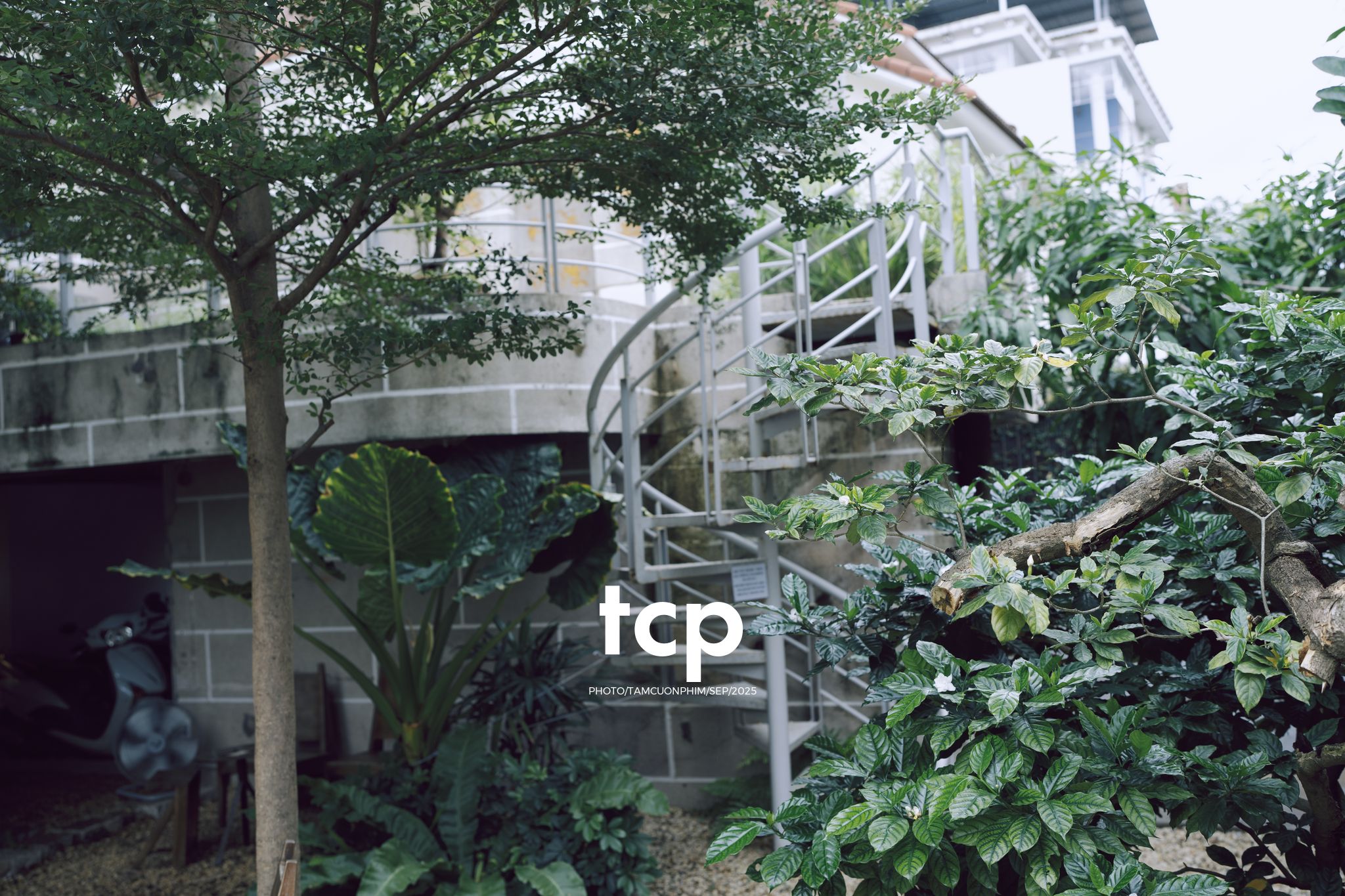 Tám Cuộn Phim - Chất cảm bê tông và những khoảng sáng hữu cơ