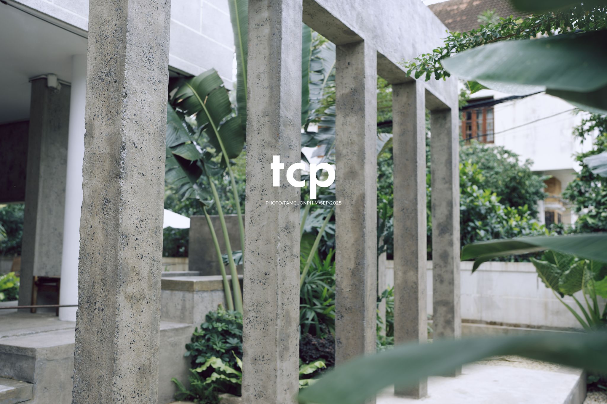 Tám Cuộn Phim - Chất cảm bê tông và những khoảng sáng hữu cơ