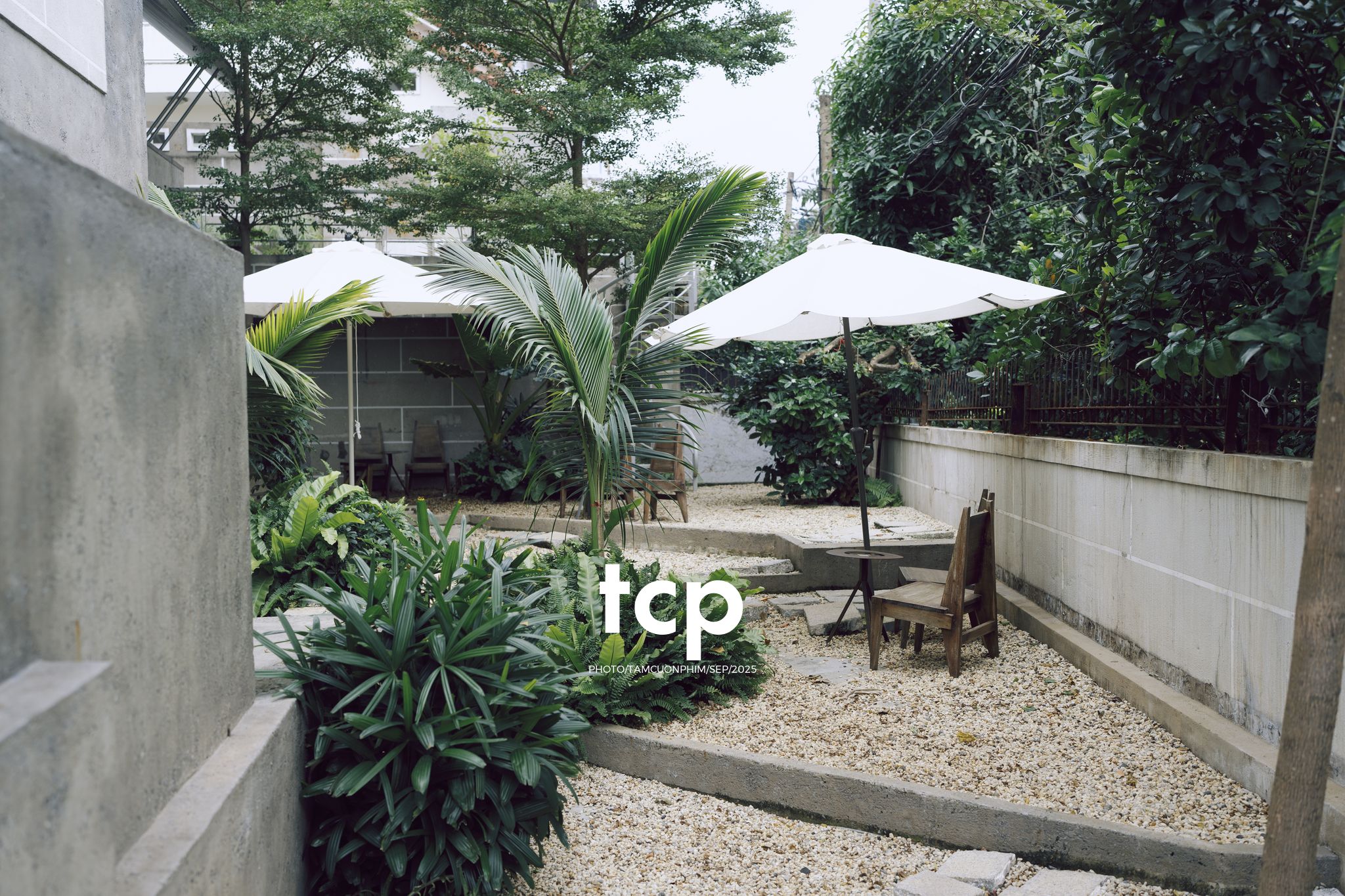 Tám Cuộn Phim - Chất cảm bê tông và những khoảng sáng hữu cơ