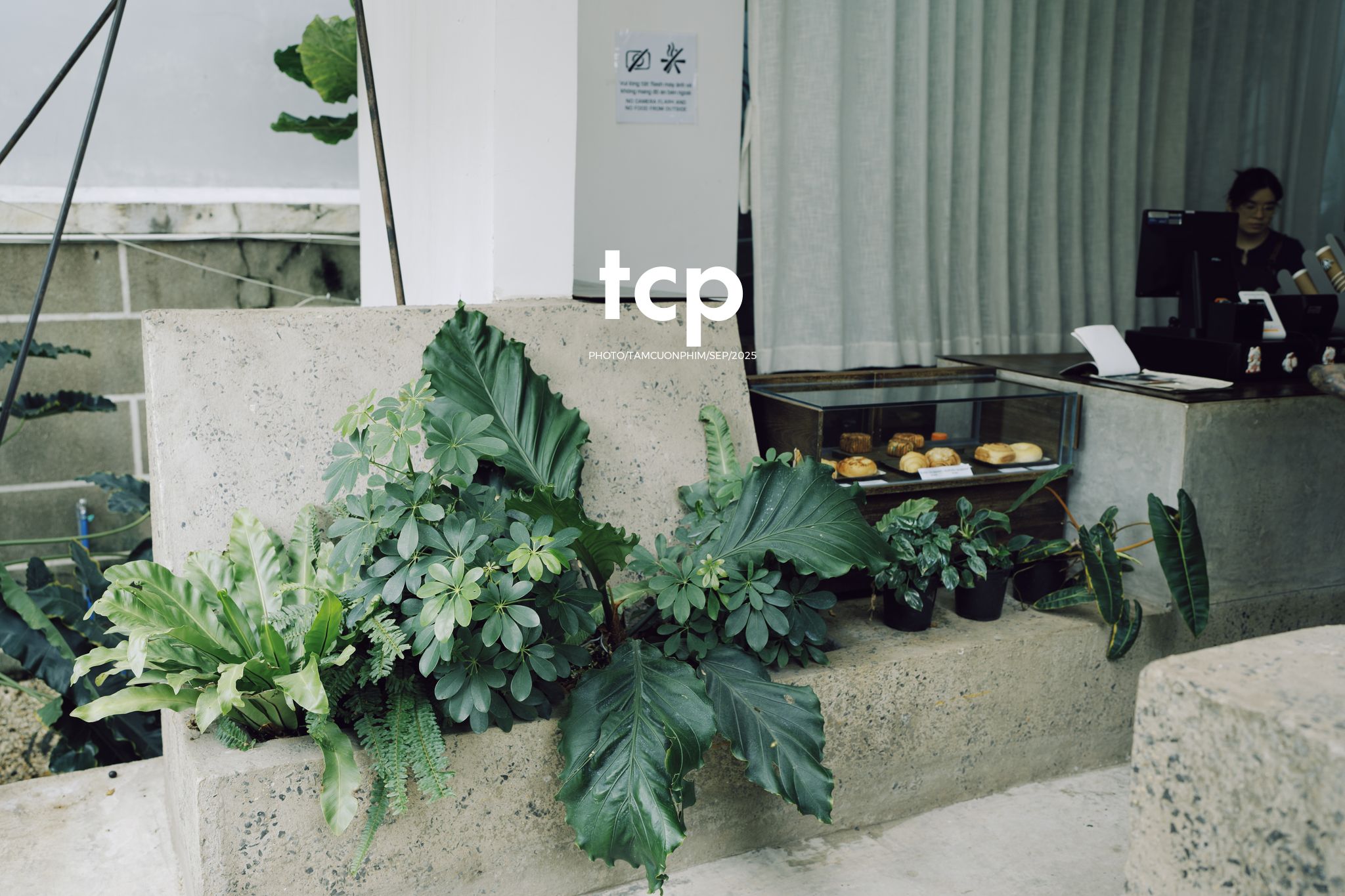 Tám Cuộn Phim - Chất cảm bê tông và những khoảng sáng hữu cơ