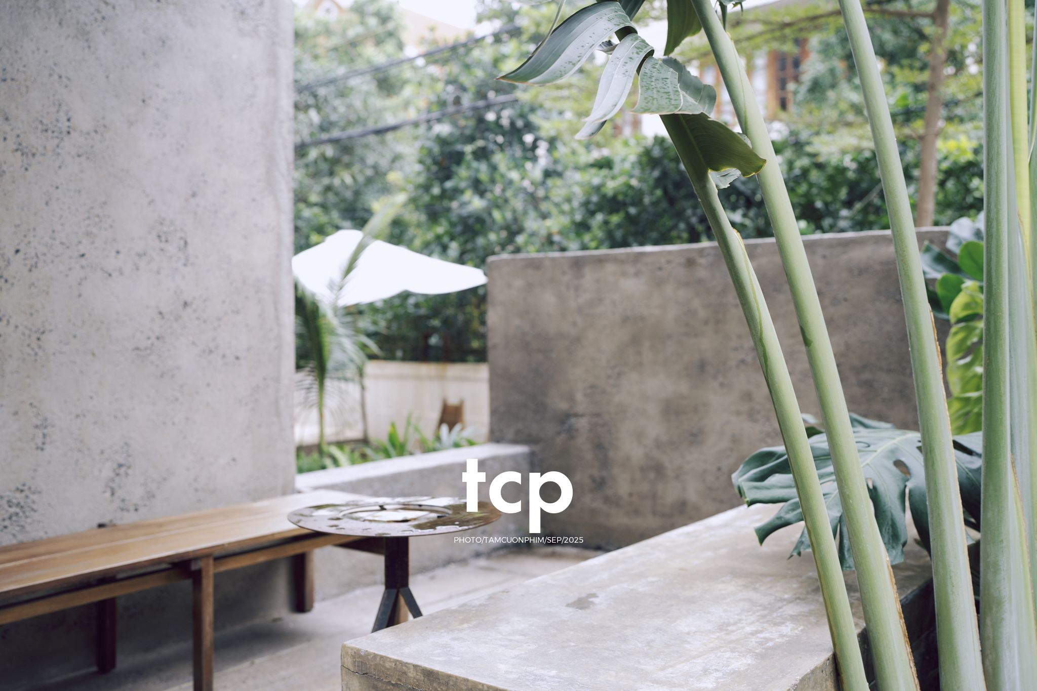 Tám Cuộn Phim - Chất cảm bê tông và những khoảng sáng hữu cơ