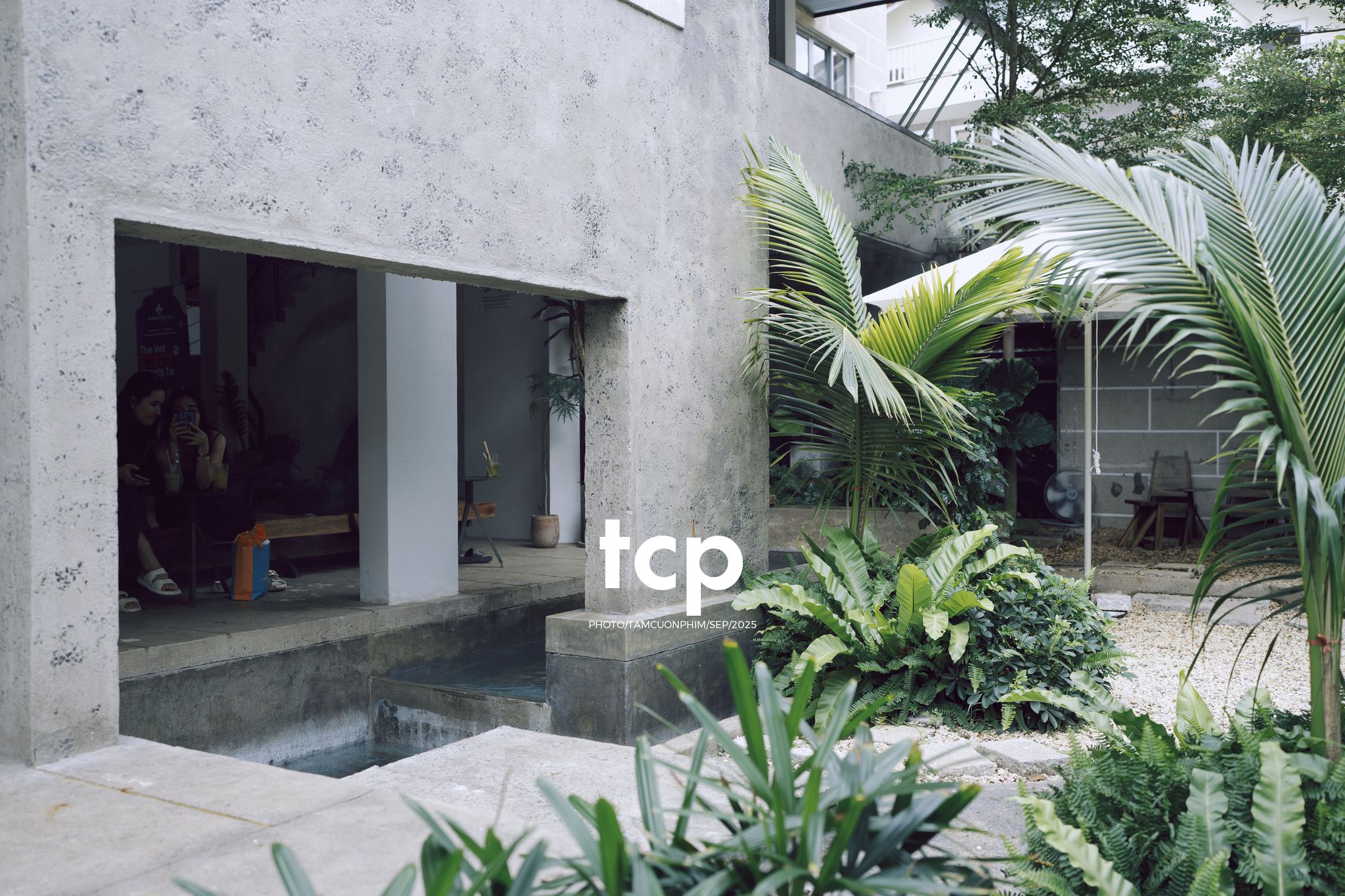 Tám Cuộn Phim - Chất cảm bê tông và những khoảng sáng hữu cơ