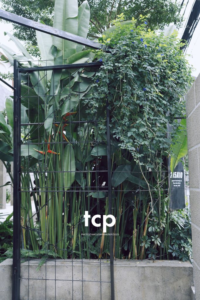 Tám Cuộn Phim - Chất cảm bê tông và những khoảng sáng hữu cơ