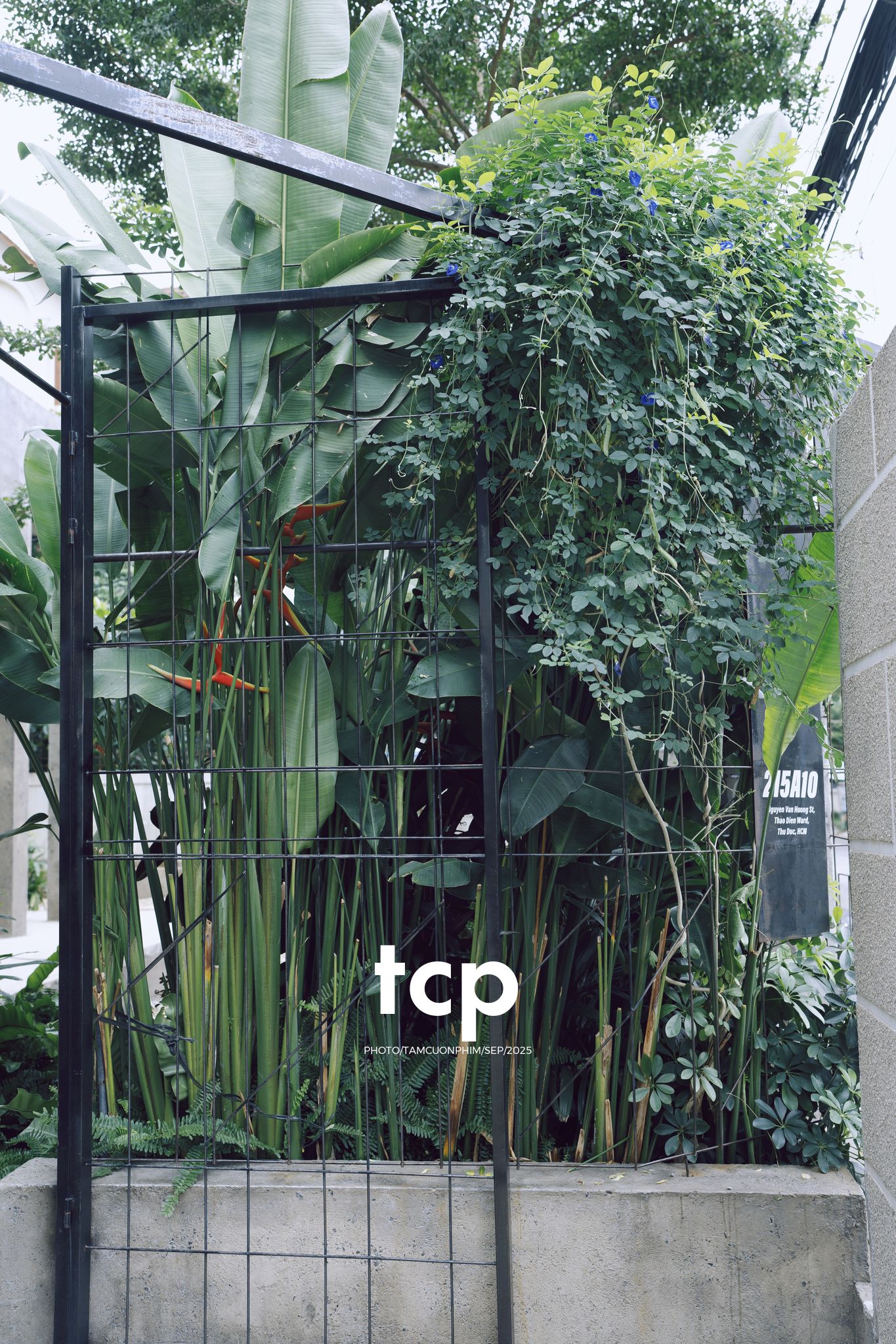 Tám Cuộn Phim - Chất cảm bê tông và những khoảng sáng hữu cơ