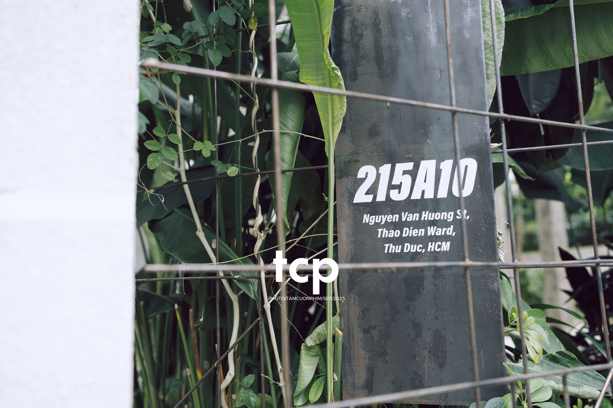 Tám Cuộn Phim - Chất cảm bê tông và những khoảng sáng hữu cơ