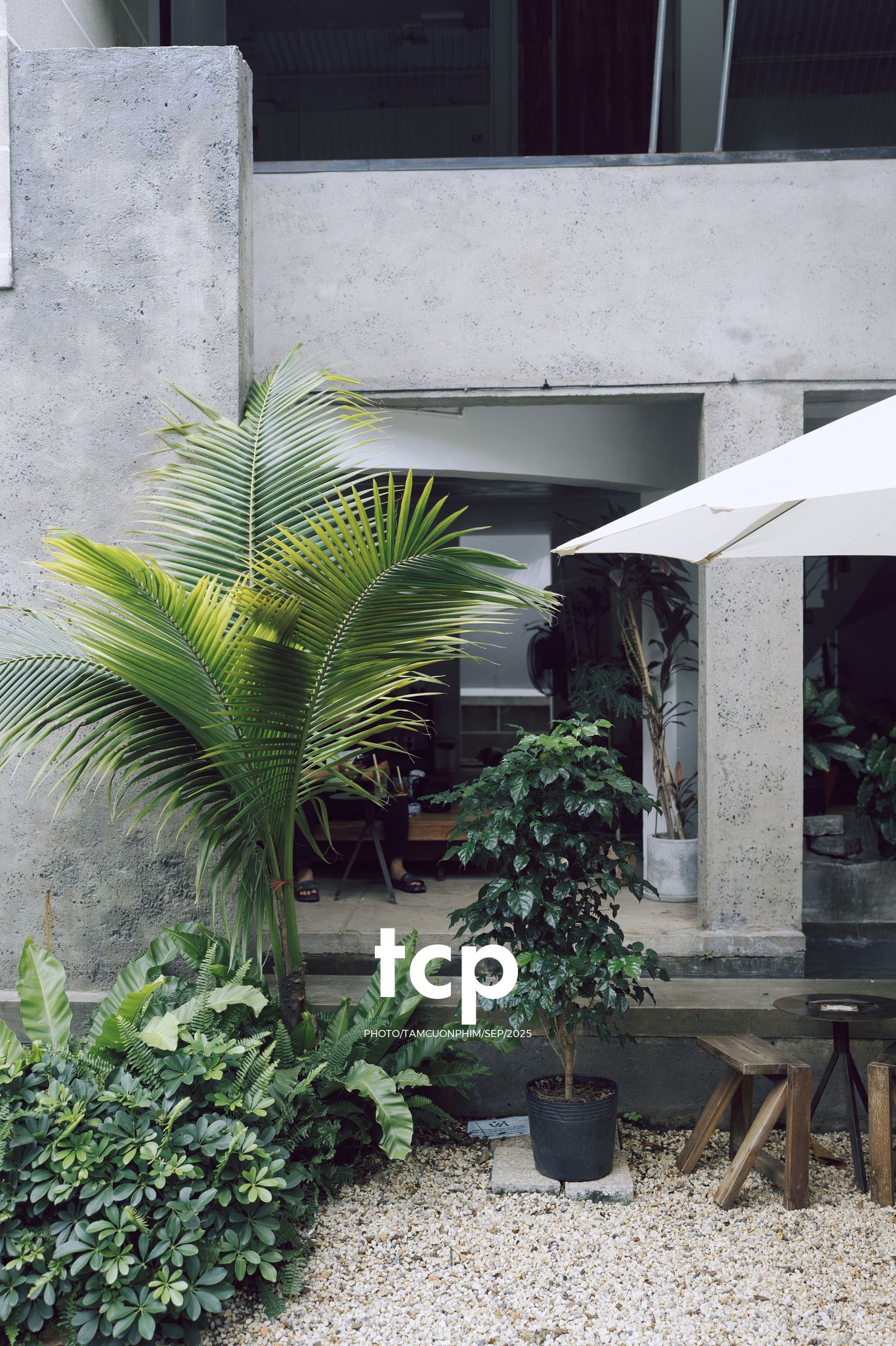 Tám Cuộn Phim - Chất cảm bê tông và những khoảng sáng hữu cơ