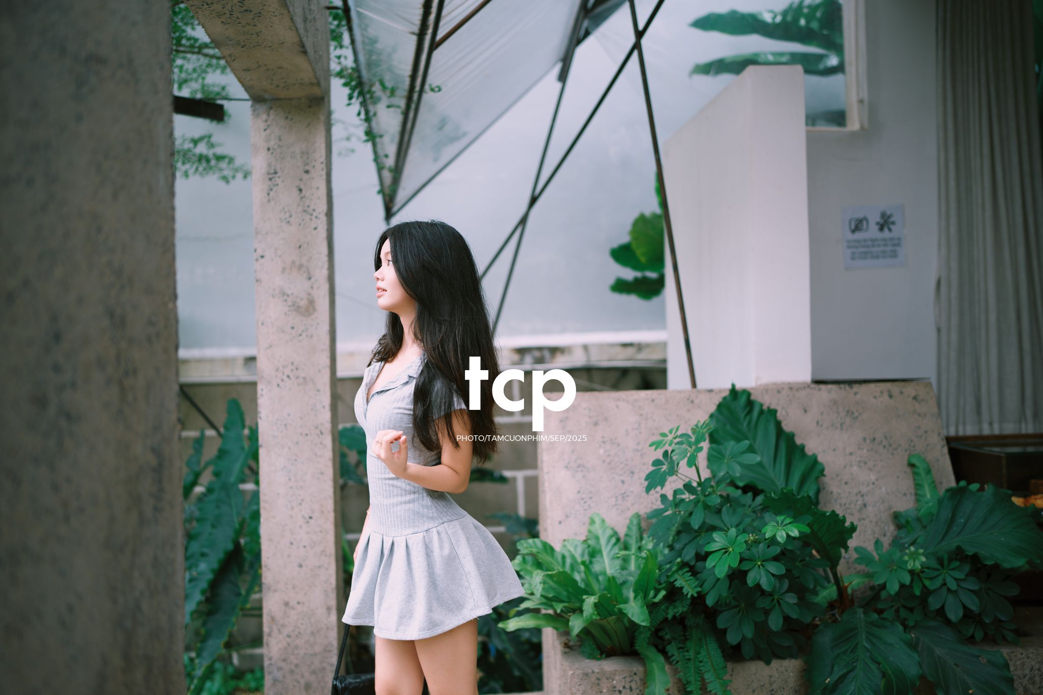 Tám Cuộn Phim - Cốc cà phê vẫn còn bốc khói