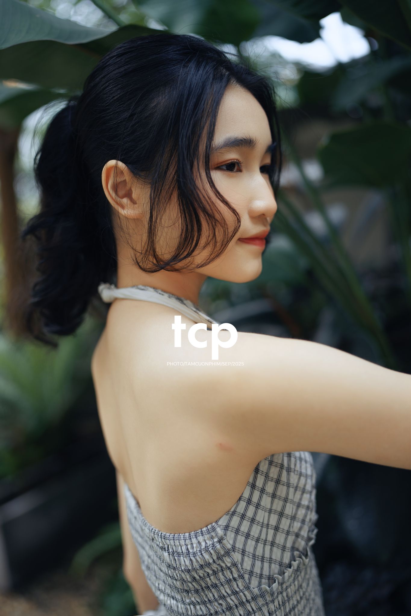 Tám Cuộn Phim - Khi ly cà phê vừa kịp đặt xuống mặt bàn gỗ