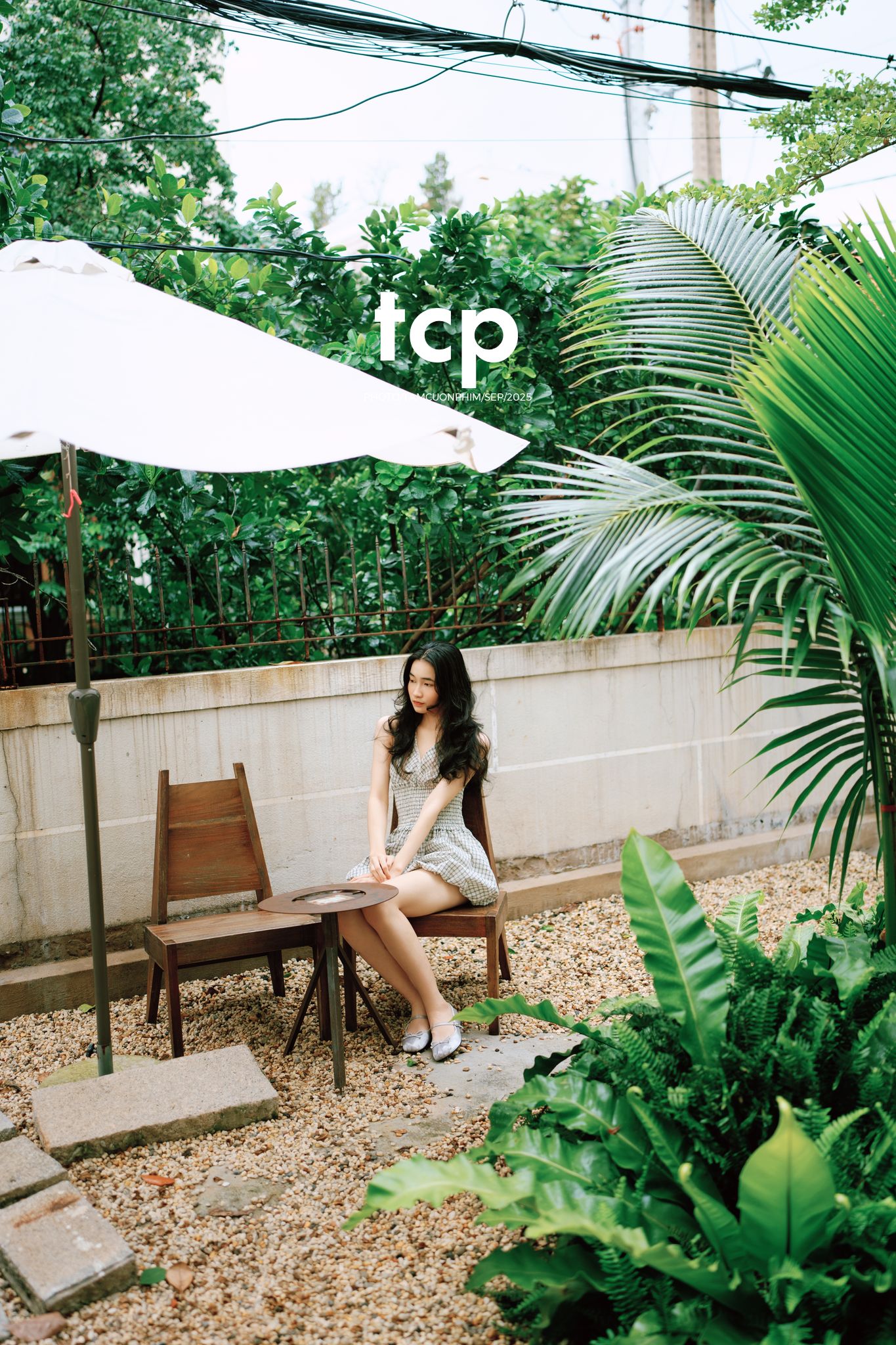 Tám Cuộn Phim - Khi ly cà phê vừa kịp đặt xuống mặt bàn gỗ