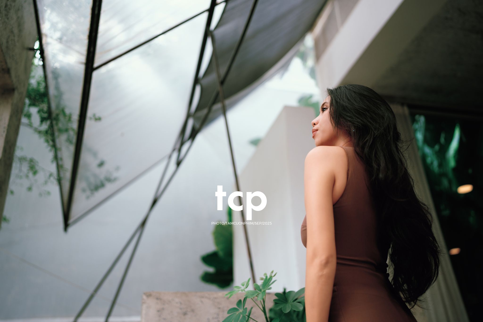 Tám Cuộn Phim - Khi ly cà phê vừa kịp đặt xuống mặt bàn gỗ