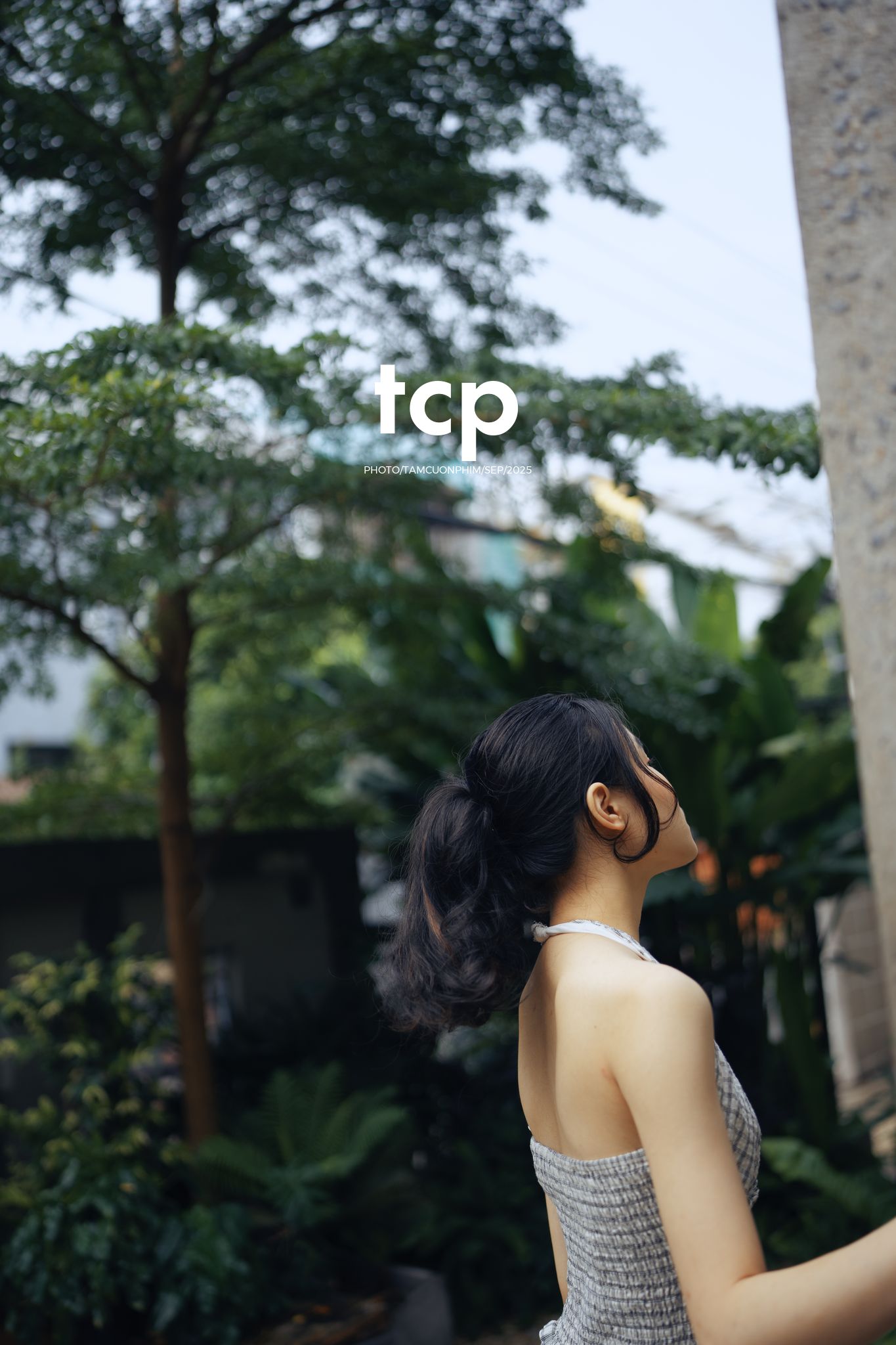 Tám Cuộn Phim - Khi ly cà phê vừa kịp đặt xuống mặt bàn gỗ