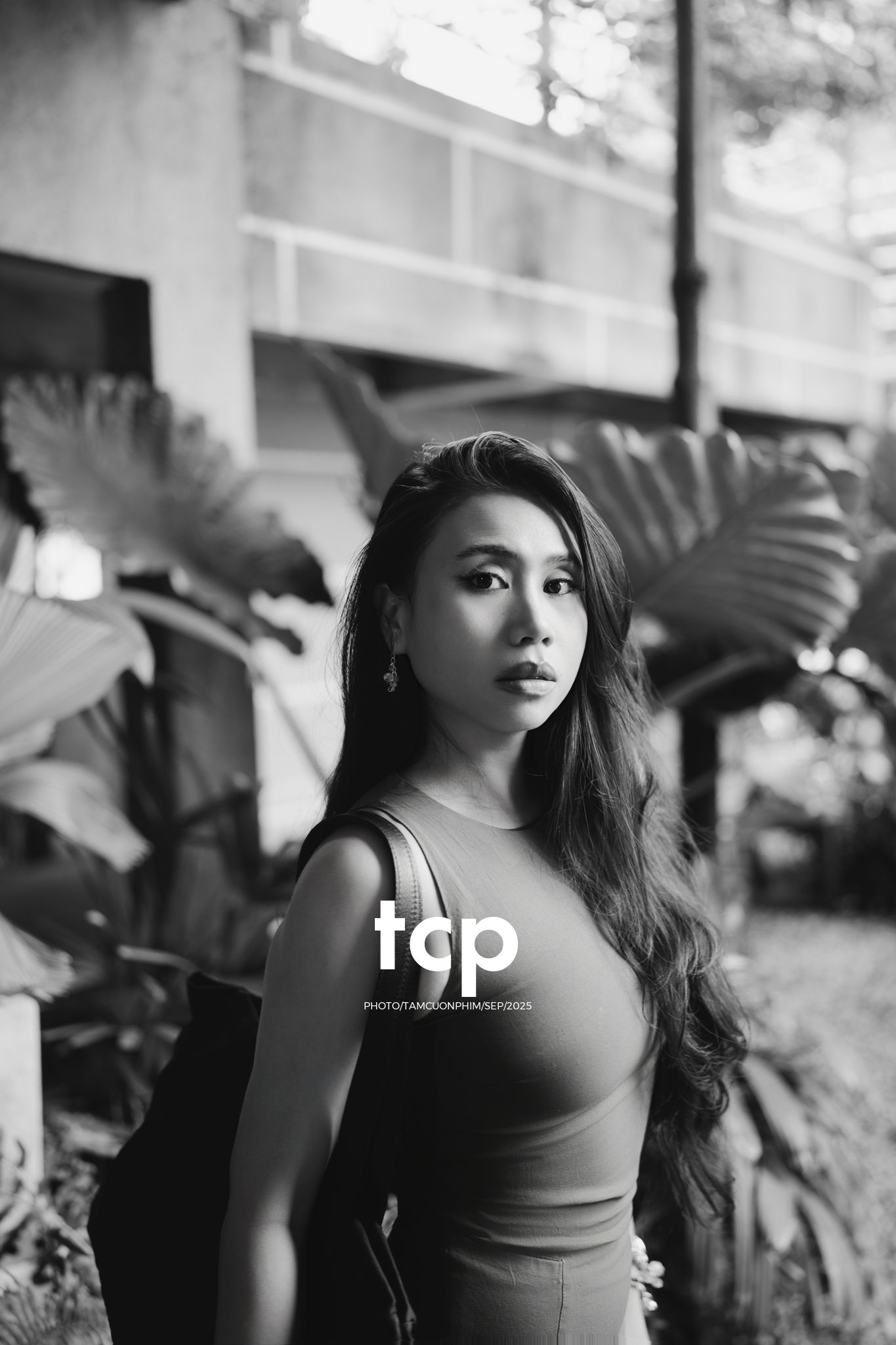 Tám Cuộn Phim - Khi ly cà phê vừa kịp đặt xuống mặt bàn gỗ