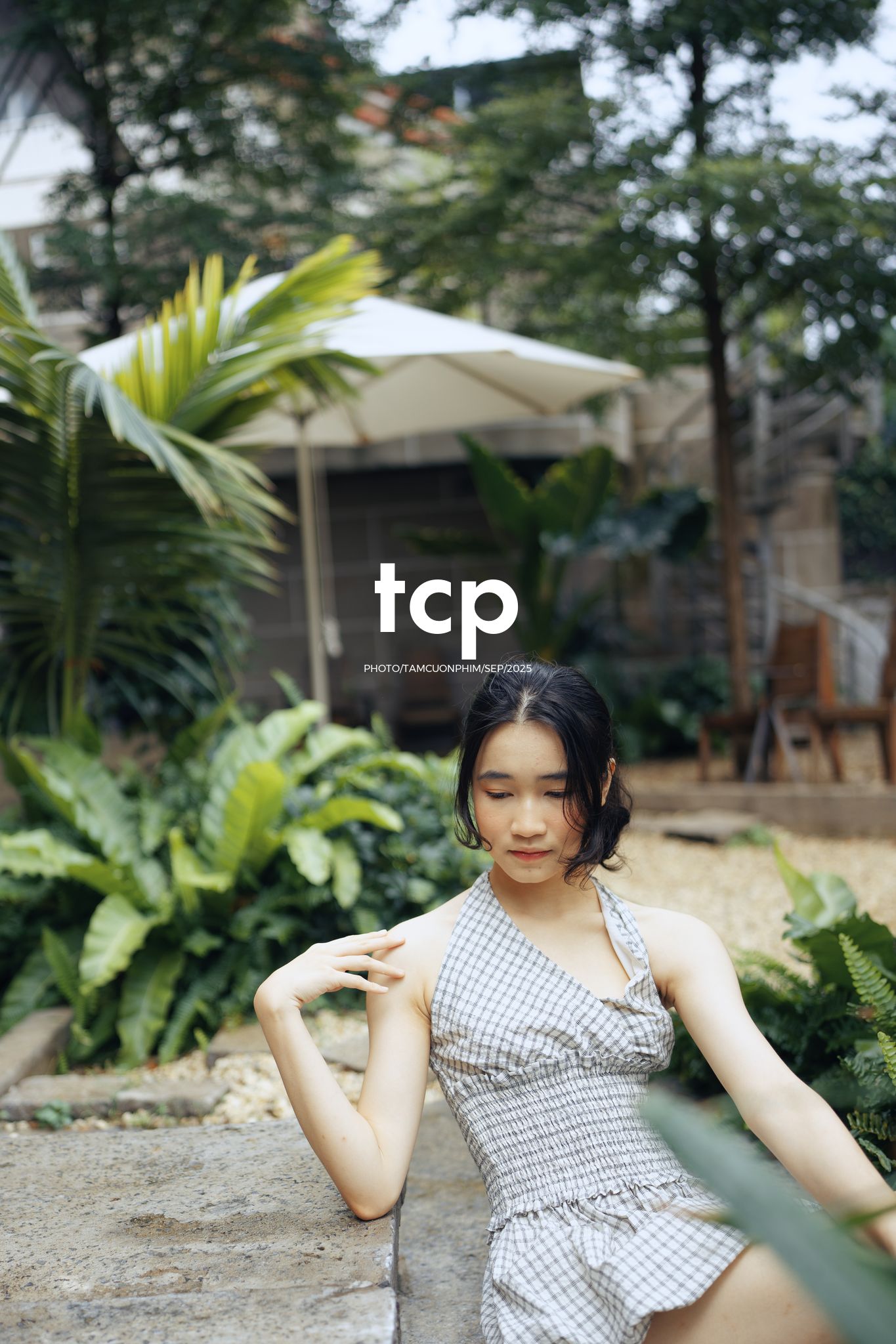 Tám Cuộn Phim - Khi ly cà phê vừa kịp đặt xuống mặt bàn gỗ