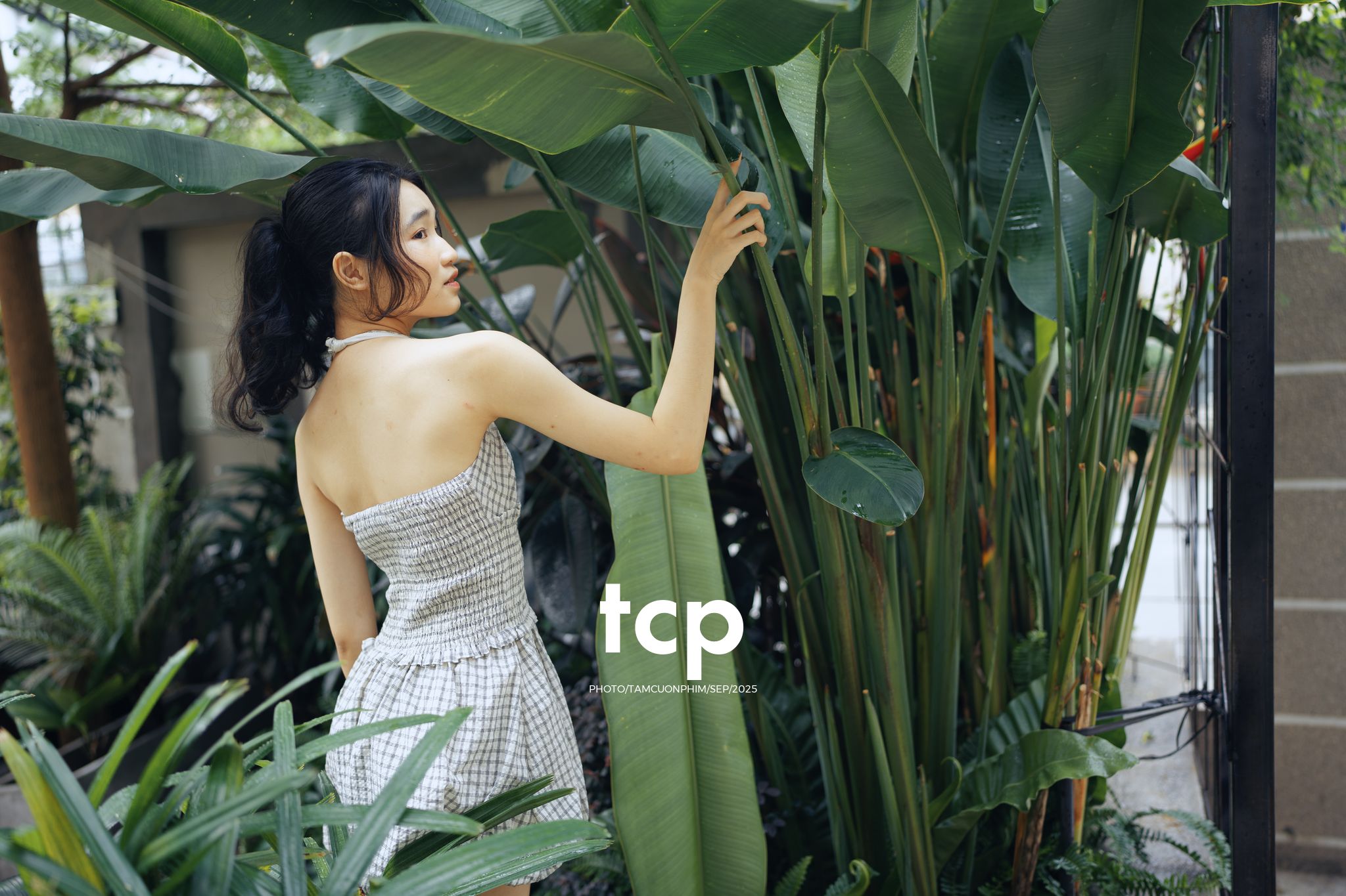 Tám Cuộn Phim - Khi ly cà phê vừa kịp đặt xuống mặt bàn gỗ