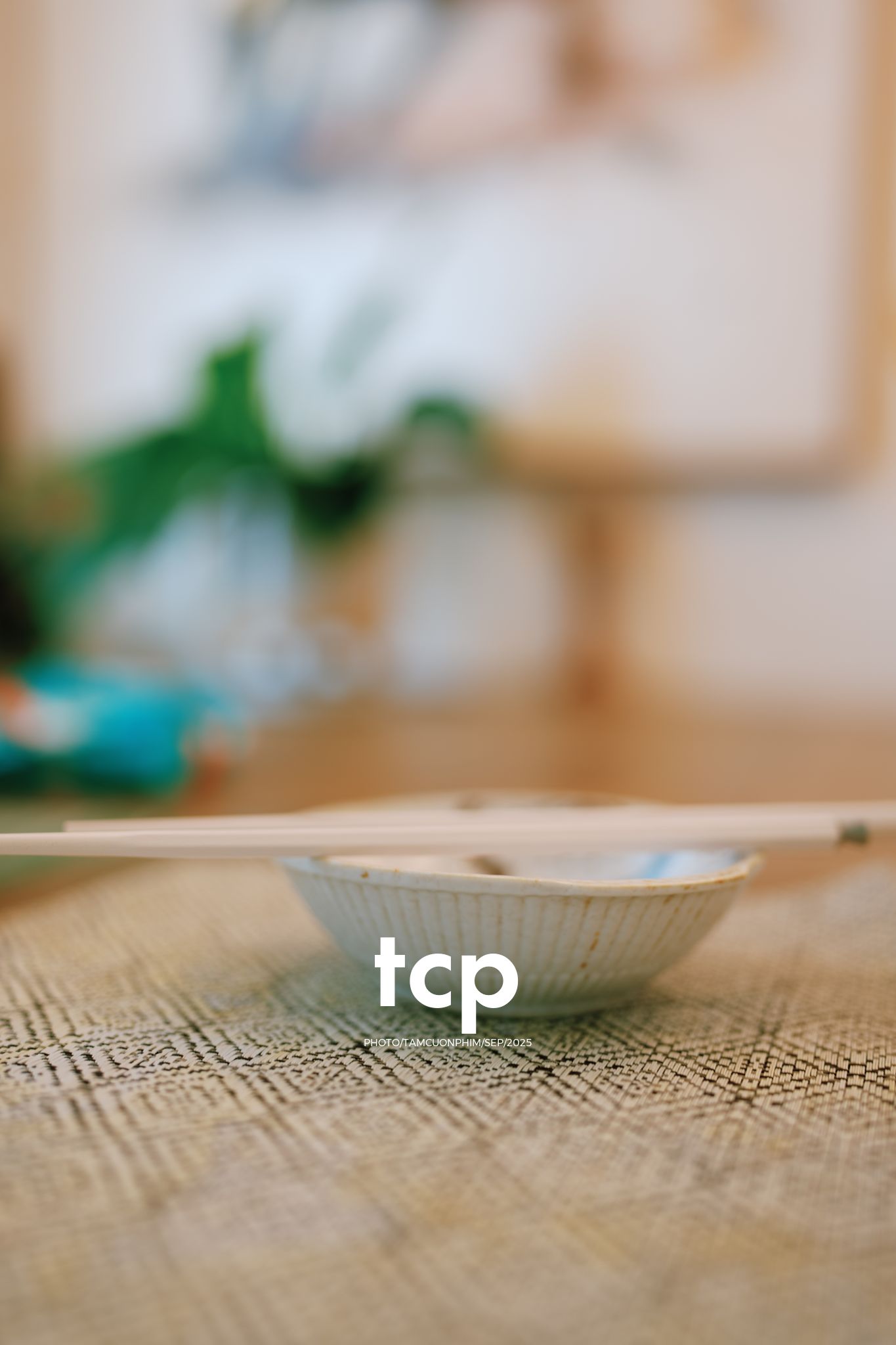 Tám Cuộn Phim - Sự kết nối dịu dàng giữa người và bạn nhỏ bốn chân