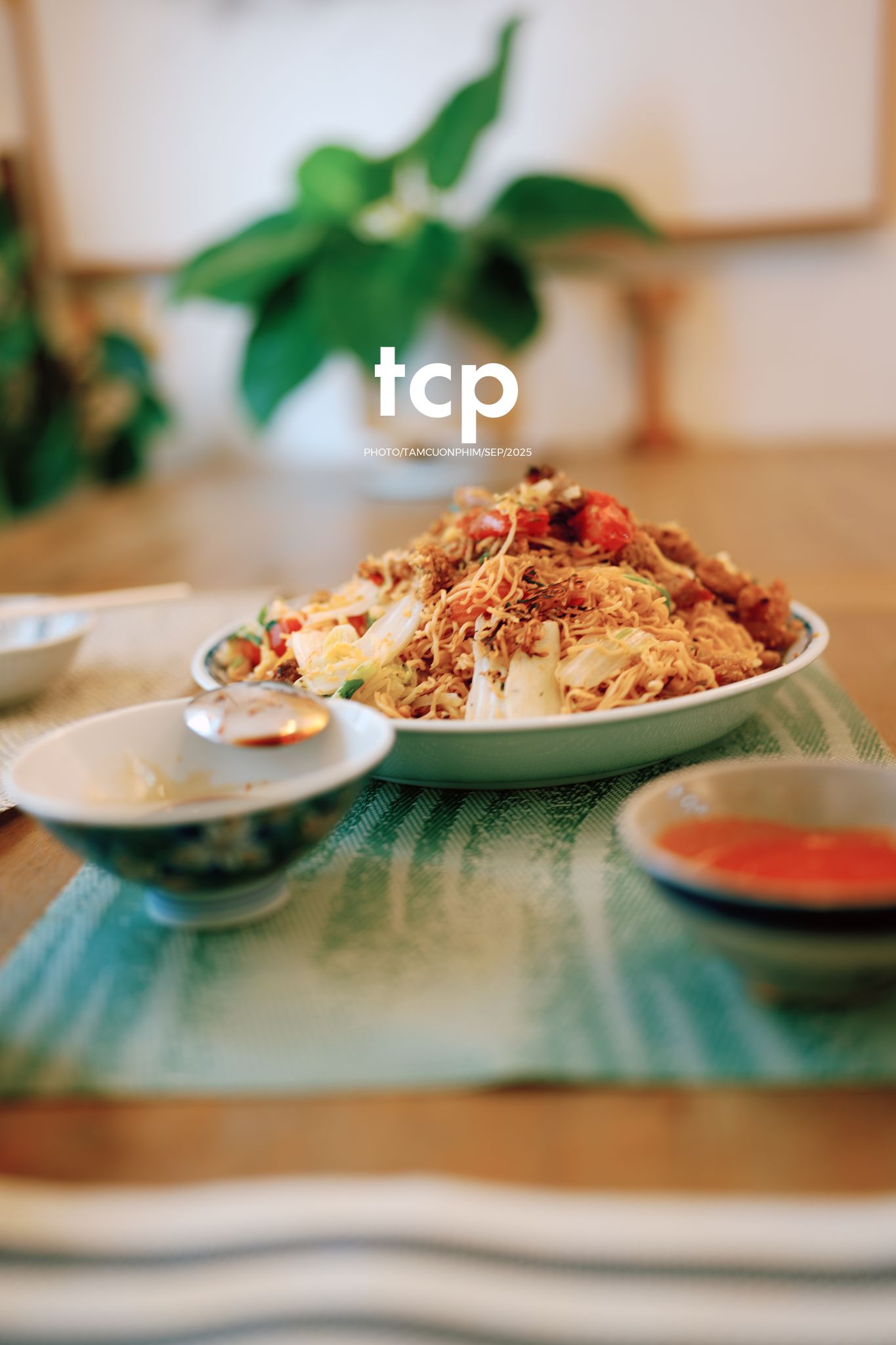 Tám Cuộn Phim - Sự kết nối dịu dàng giữa người và bạn nhỏ bốn chân