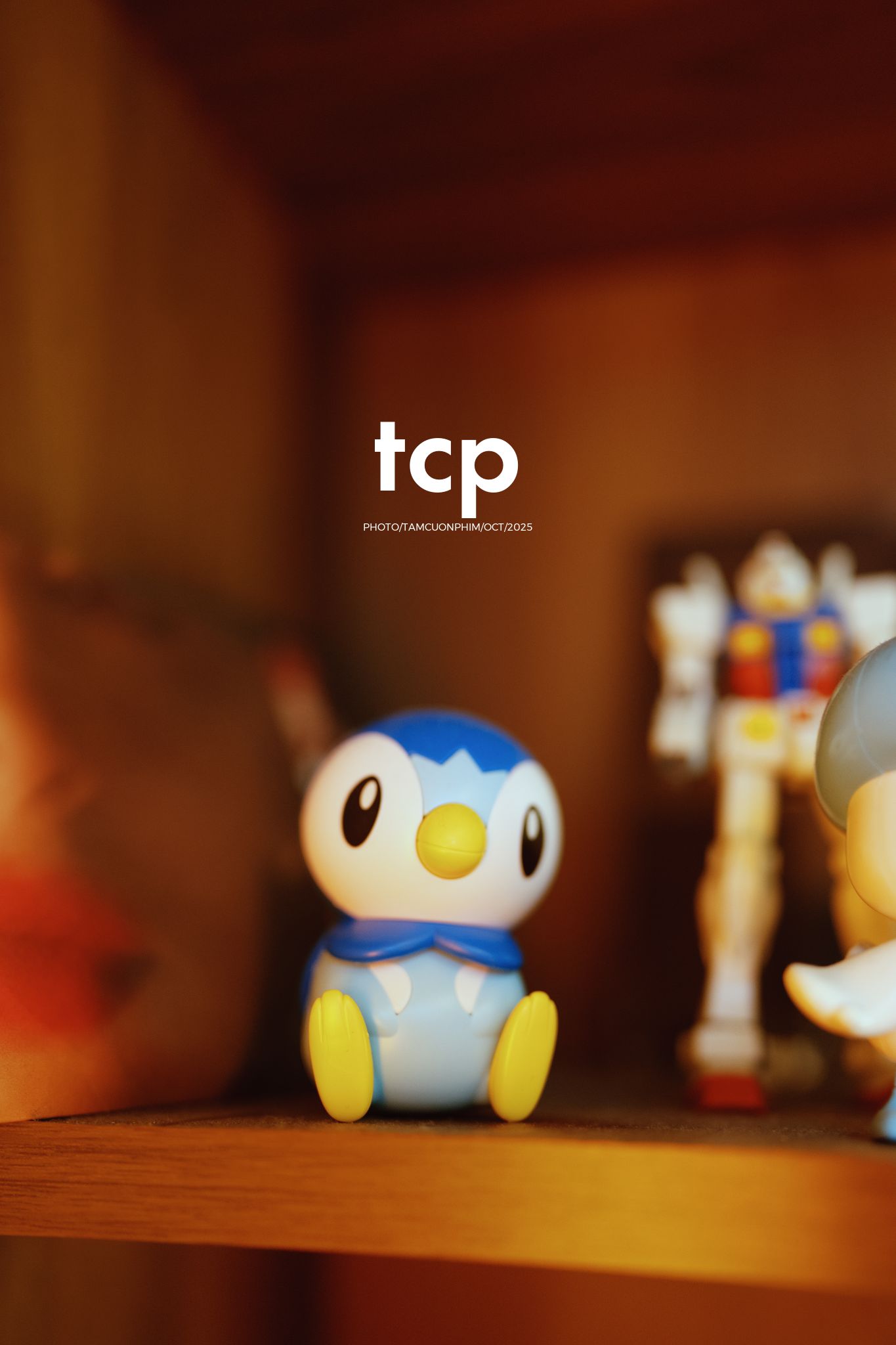 Tám Cuộn Phim - Những mảnh ghép dịu dàng của một tâm hồn tinh tế