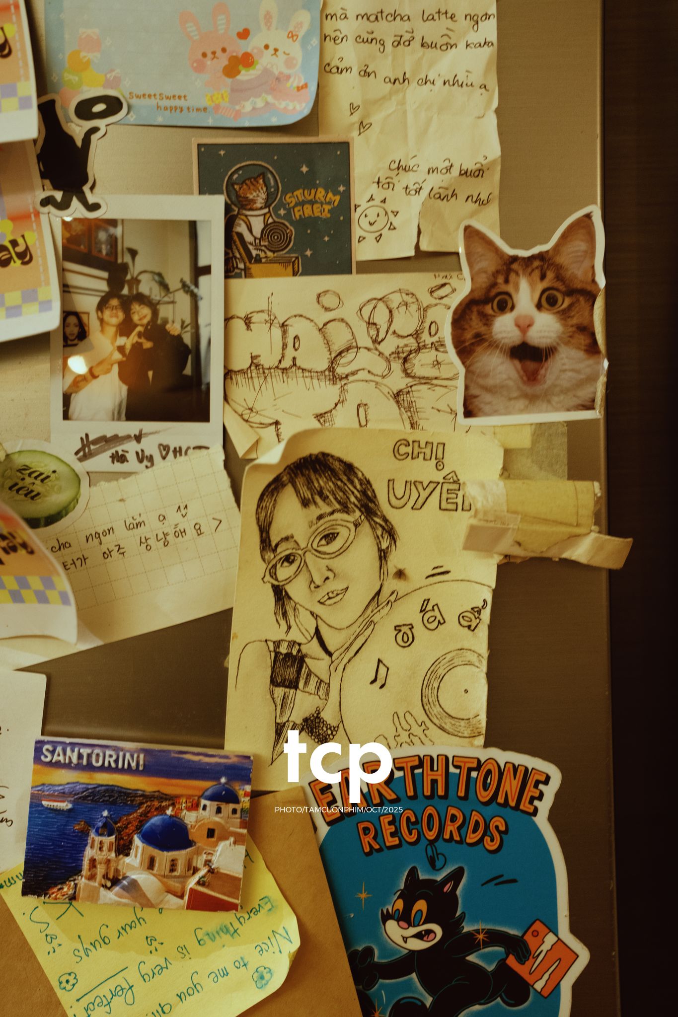 Tám Cuộn Phim - Những mảnh ghép dịu dàng của một tâm hồn tinh tế