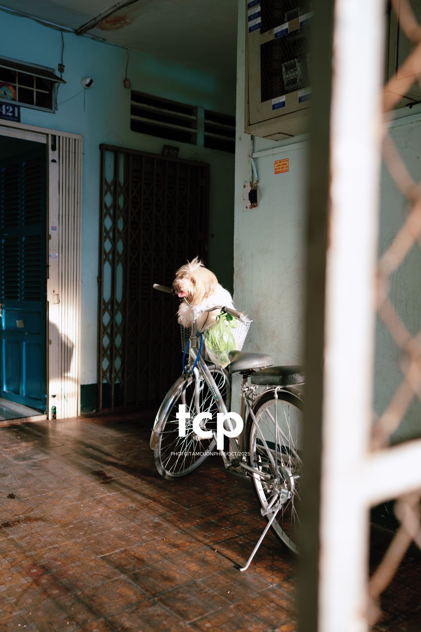 Tám Cuộn Phim - Những mảnh ghép dịu dàng của một tâm hồn tinh tế