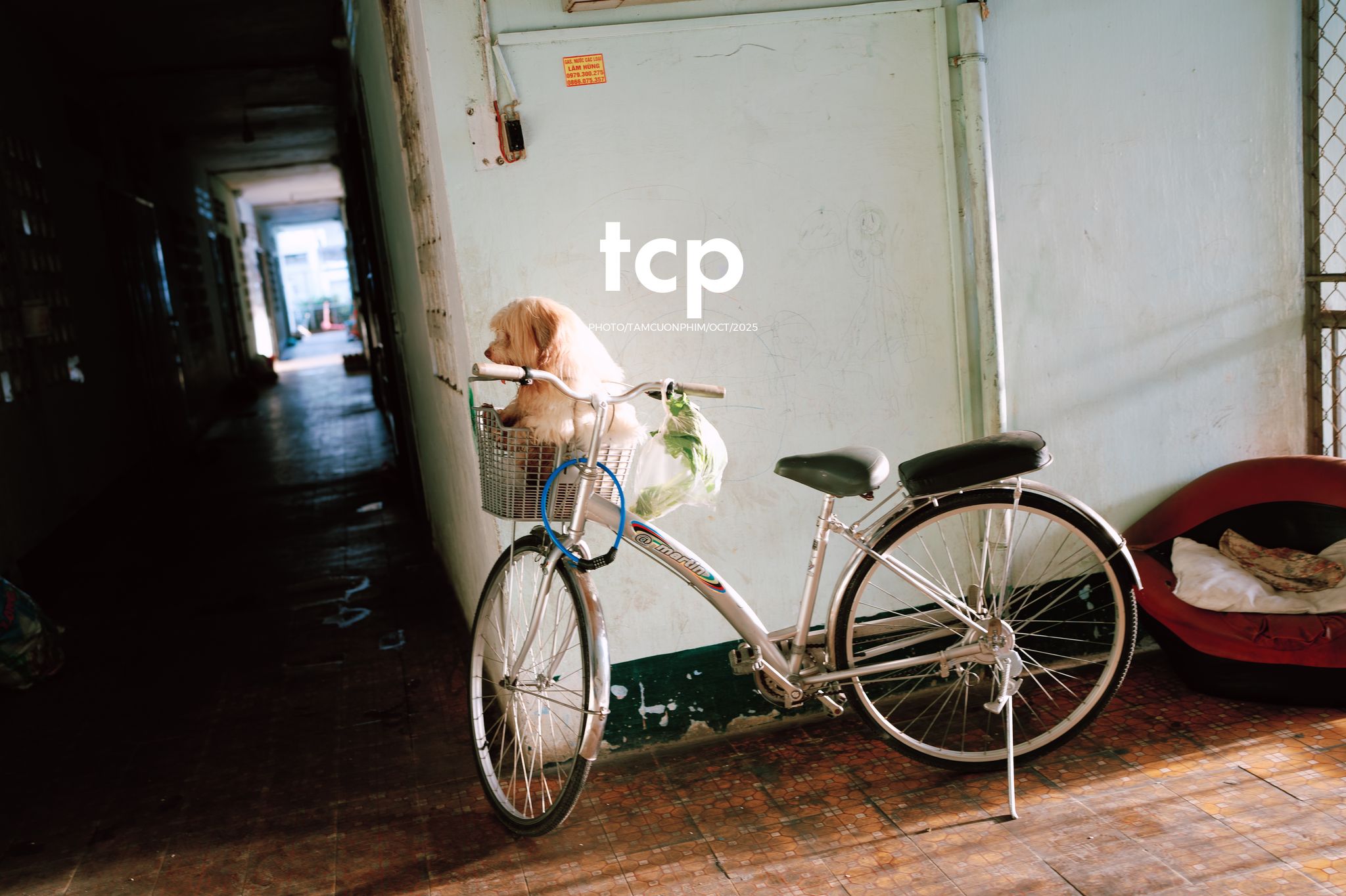 Tám Cuộn Phim - Những mảnh ghép dịu dàng của một tâm hồn tinh tế