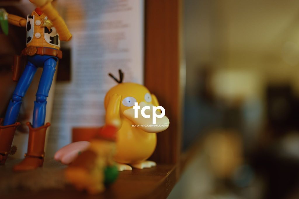 Tám Cuộn Phim - Những mảnh ghép dịu dàng của một tâm hồn tinh tế
