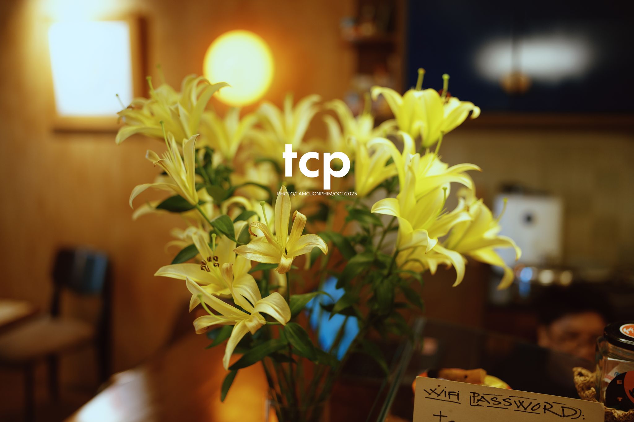 Tám Cuộn Phim - Những mảnh ghép dịu dàng của một tâm hồn tinh tế