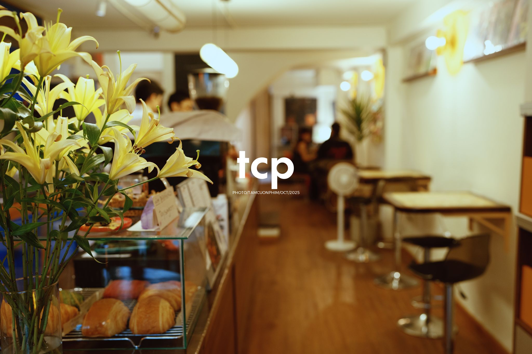 Tám Cuộn Phim - Những mảnh ghép dịu dàng của một tâm hồn tinh tế