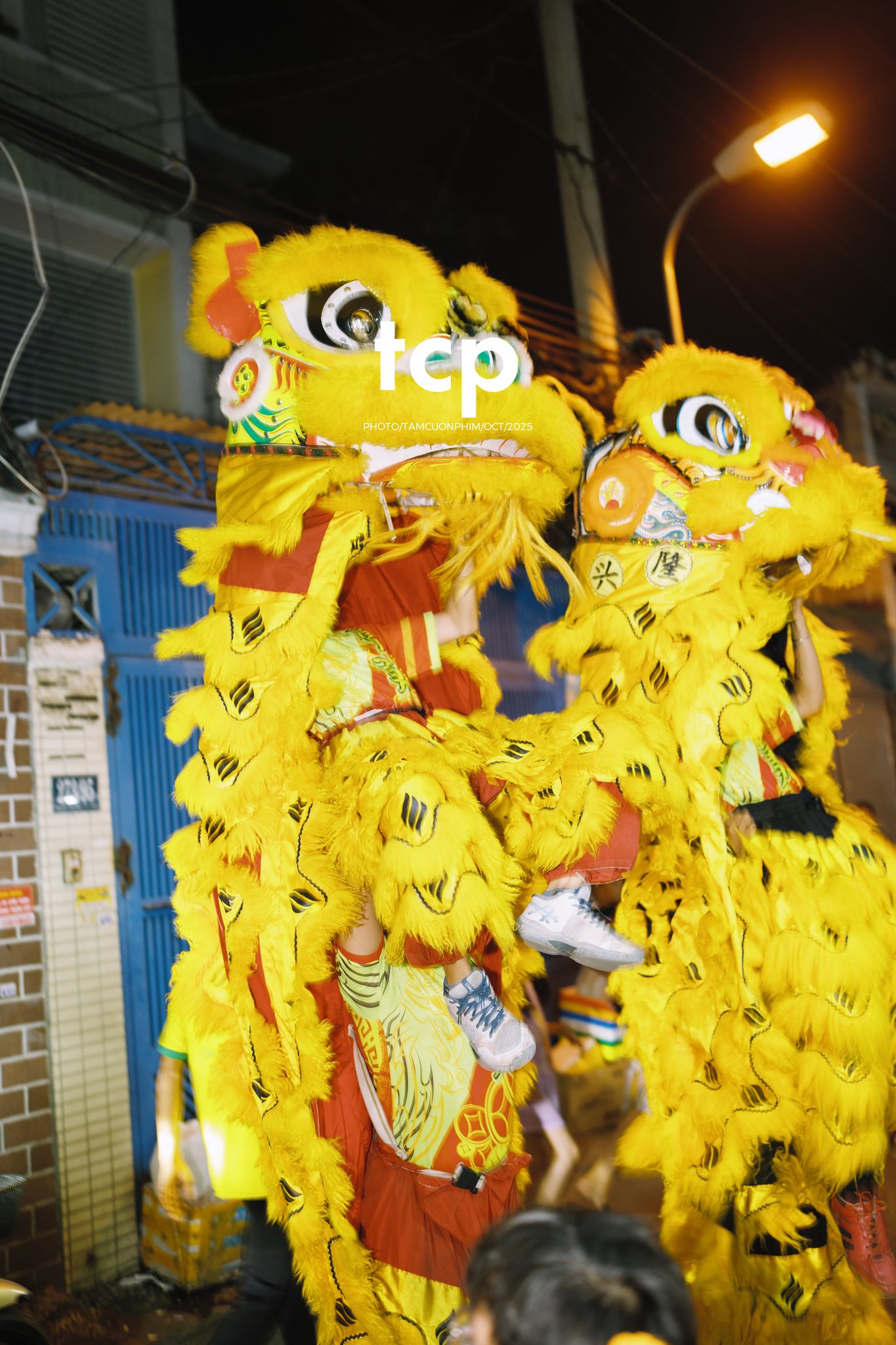 Tám Cuộn Phim - Ai mà chẳng nhớ cái cảm giác đứng đợi lân sư rồng đi qua trước ngõ?