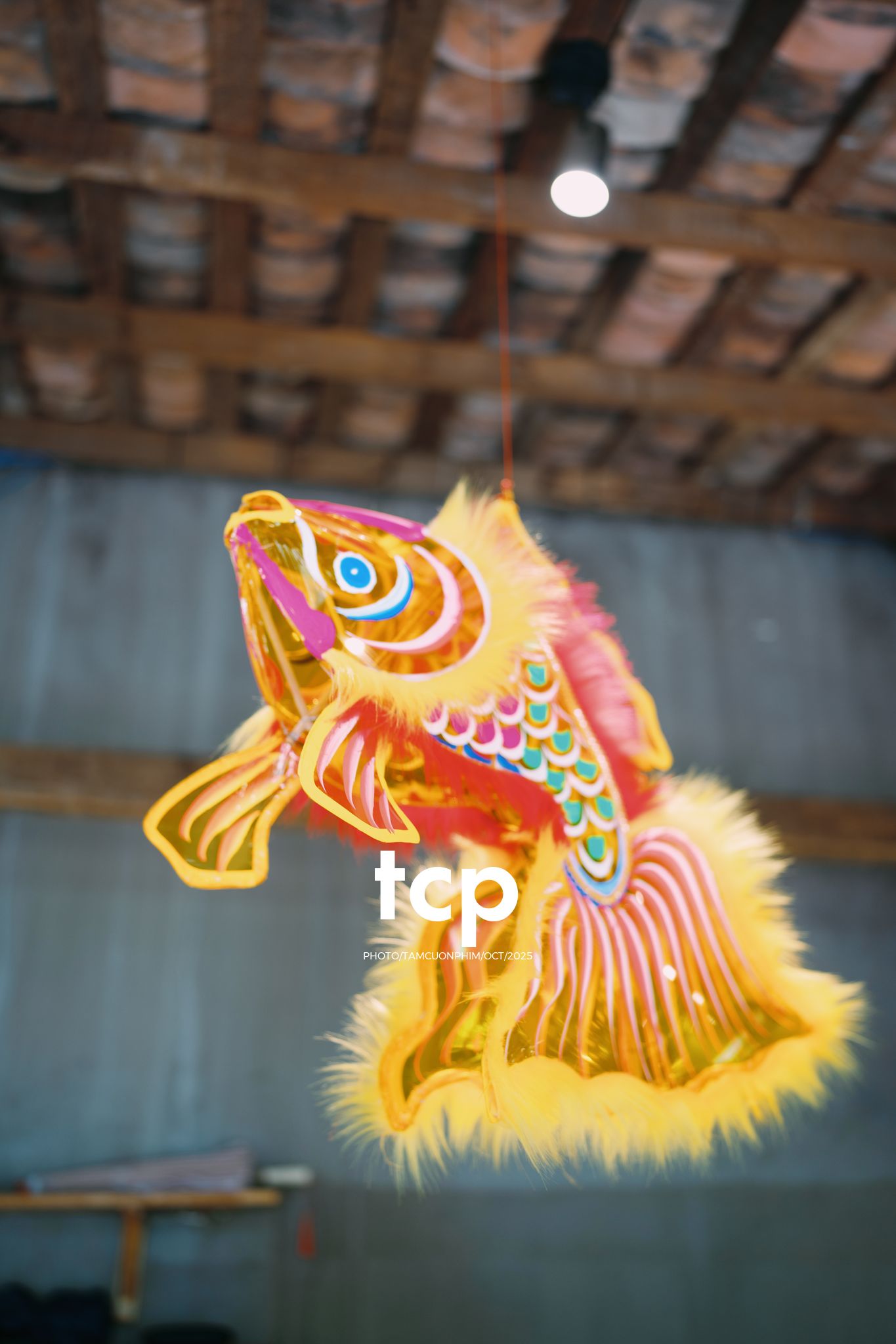 Tám Cuộn Phim - Hành trình kết nối những tâm hồn đồng điệu