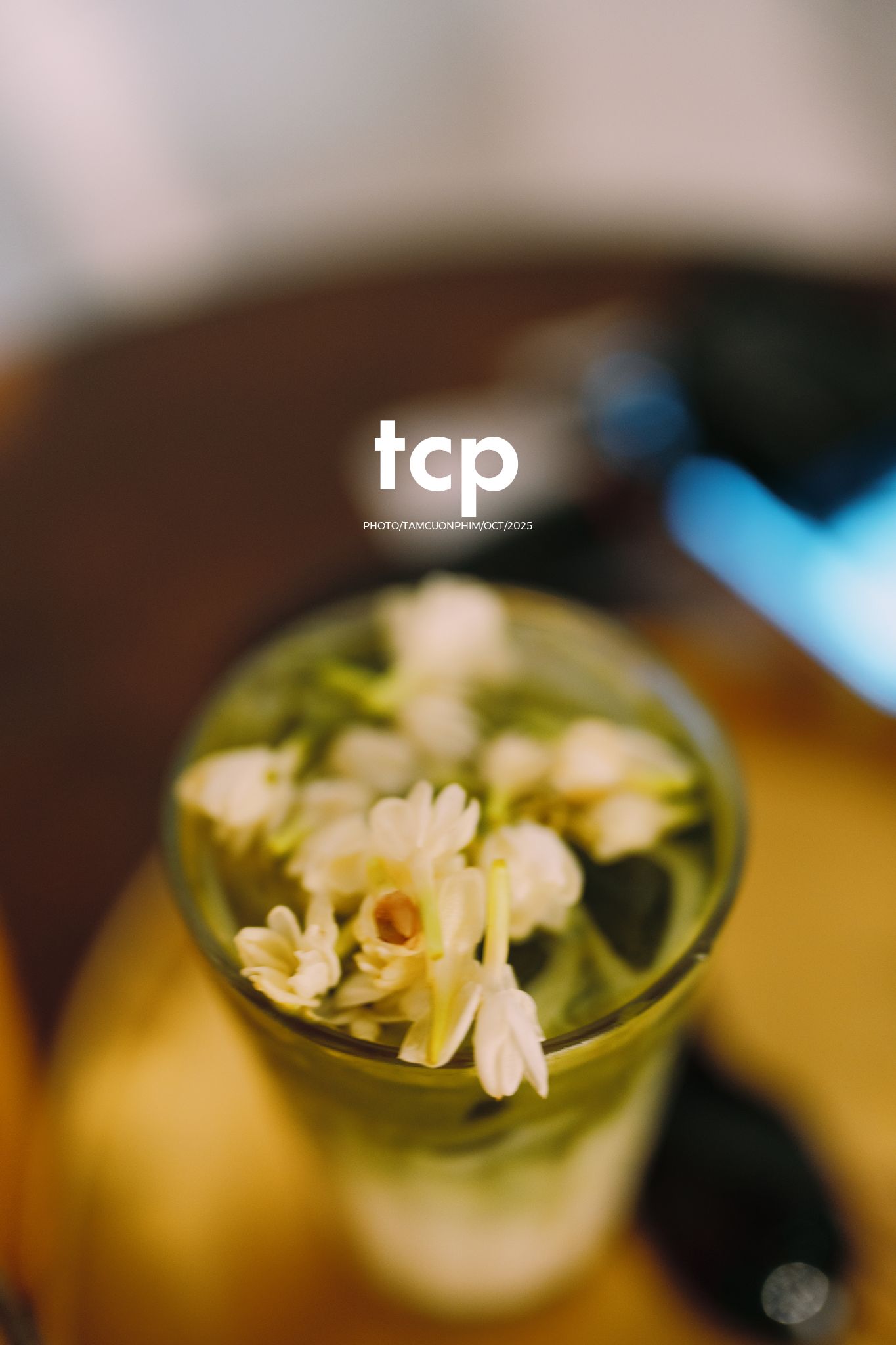 Tám Cuộn Phim - Hành trình kết nối những tâm hồn đồng điệu