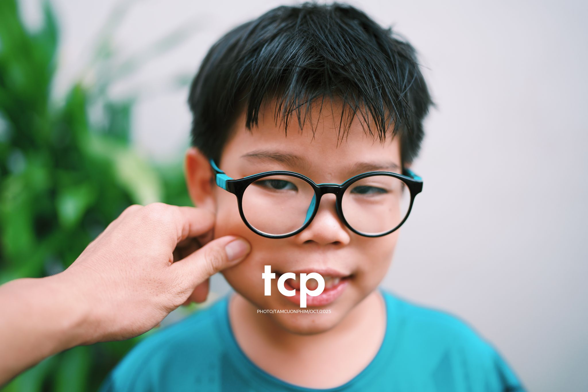 Tám Cuộn Phim - Những mảnh ghép bình yên của hạnh phúc giản đơn