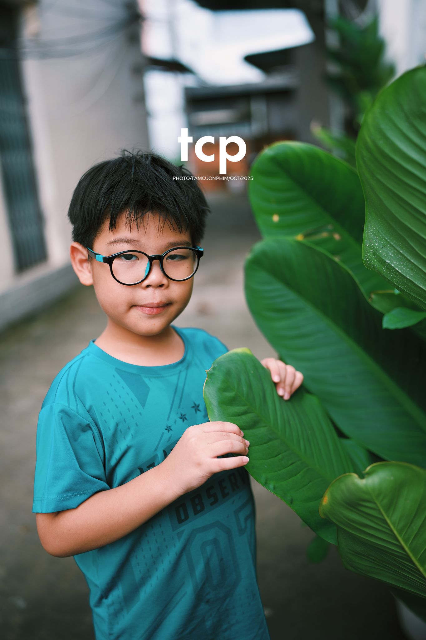 Tám Cuộn Phim - Những mảnh ghép bình yên của hạnh phúc giản đơn