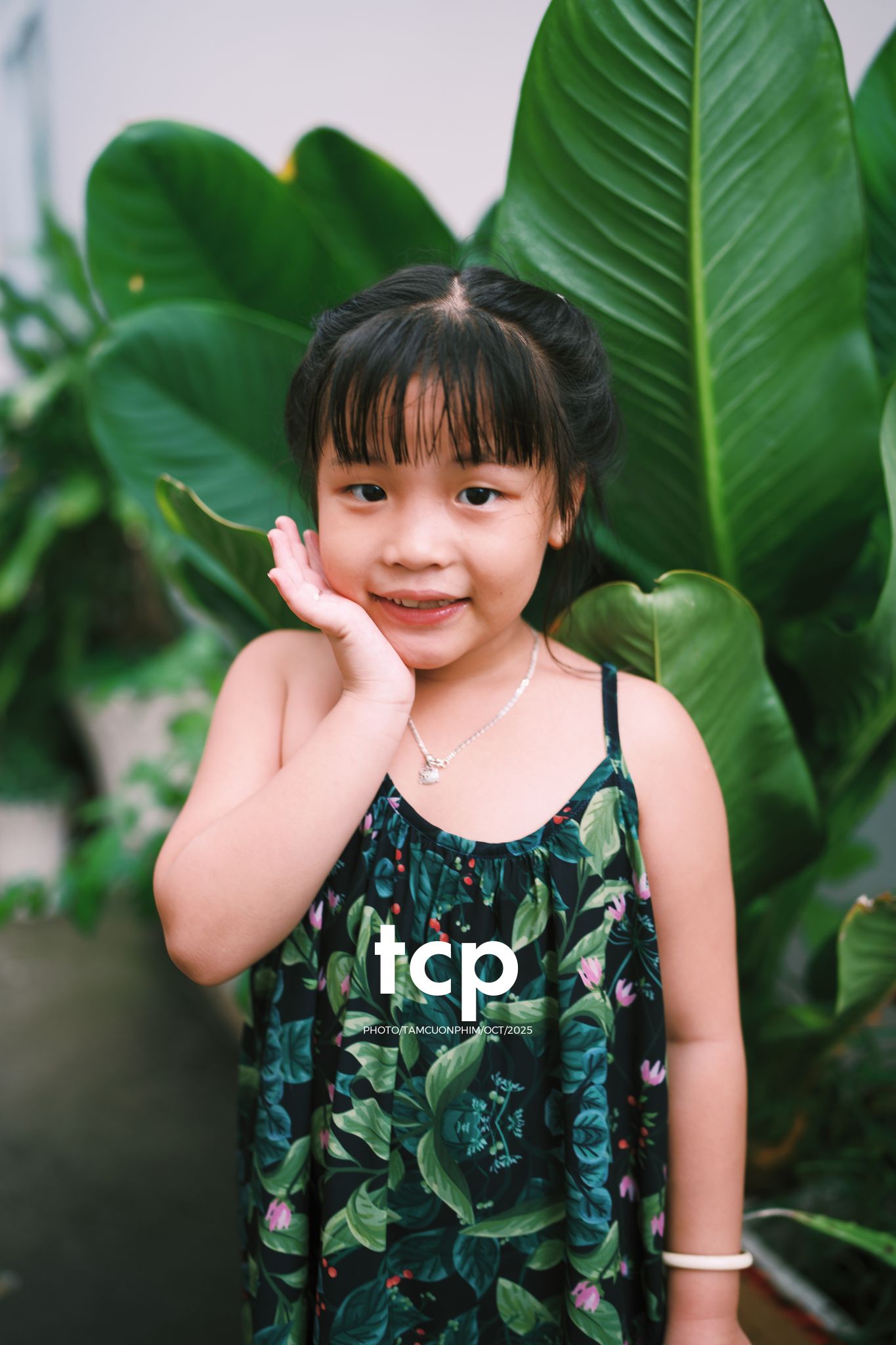 Tám Cuộn Phim - Những mảnh ghép bình yên của hạnh phúc giản đơn