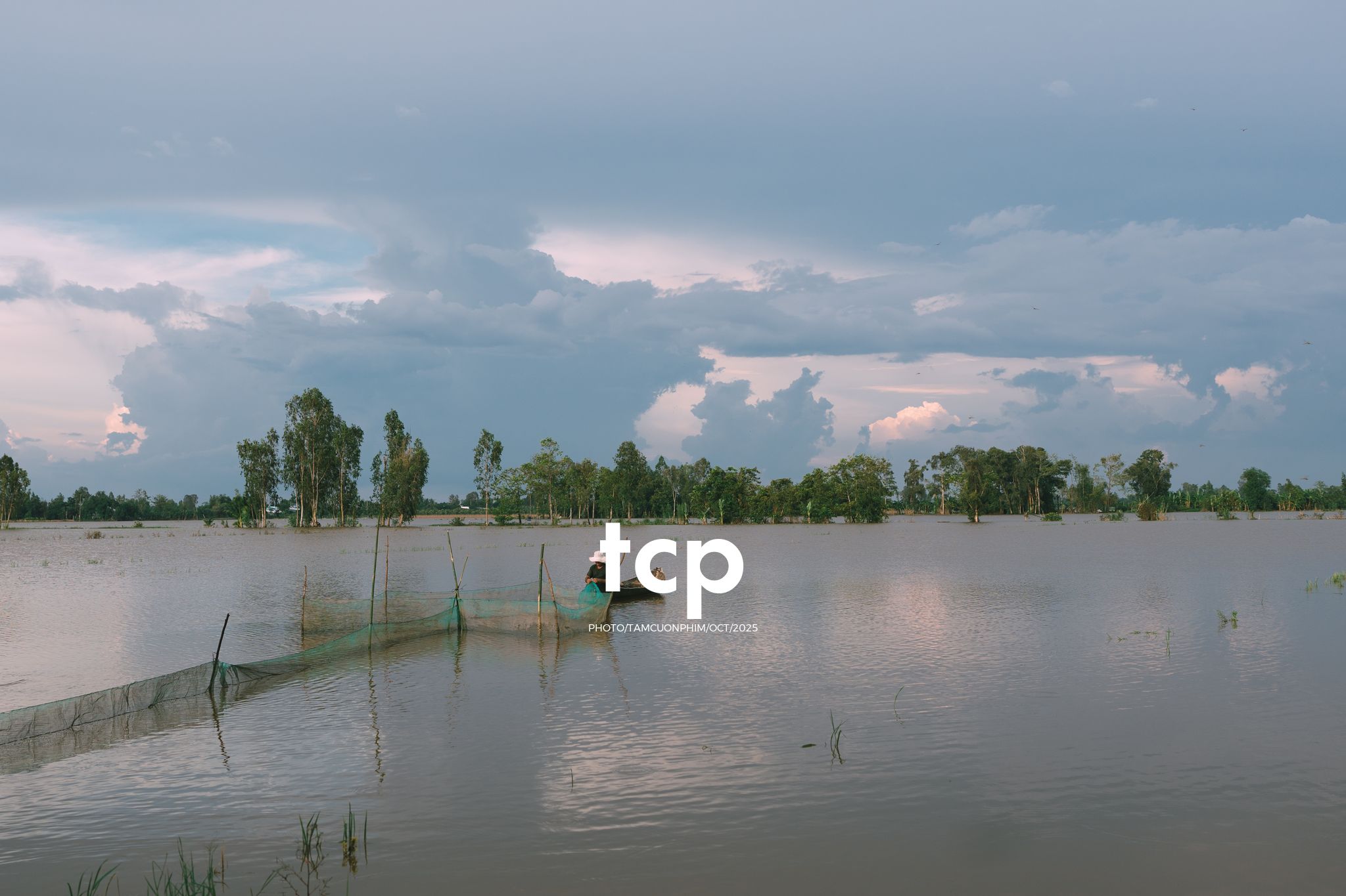 Tám Cuộn Phim - Những mảnh ghép bình yên của hạnh phúc giản đơn