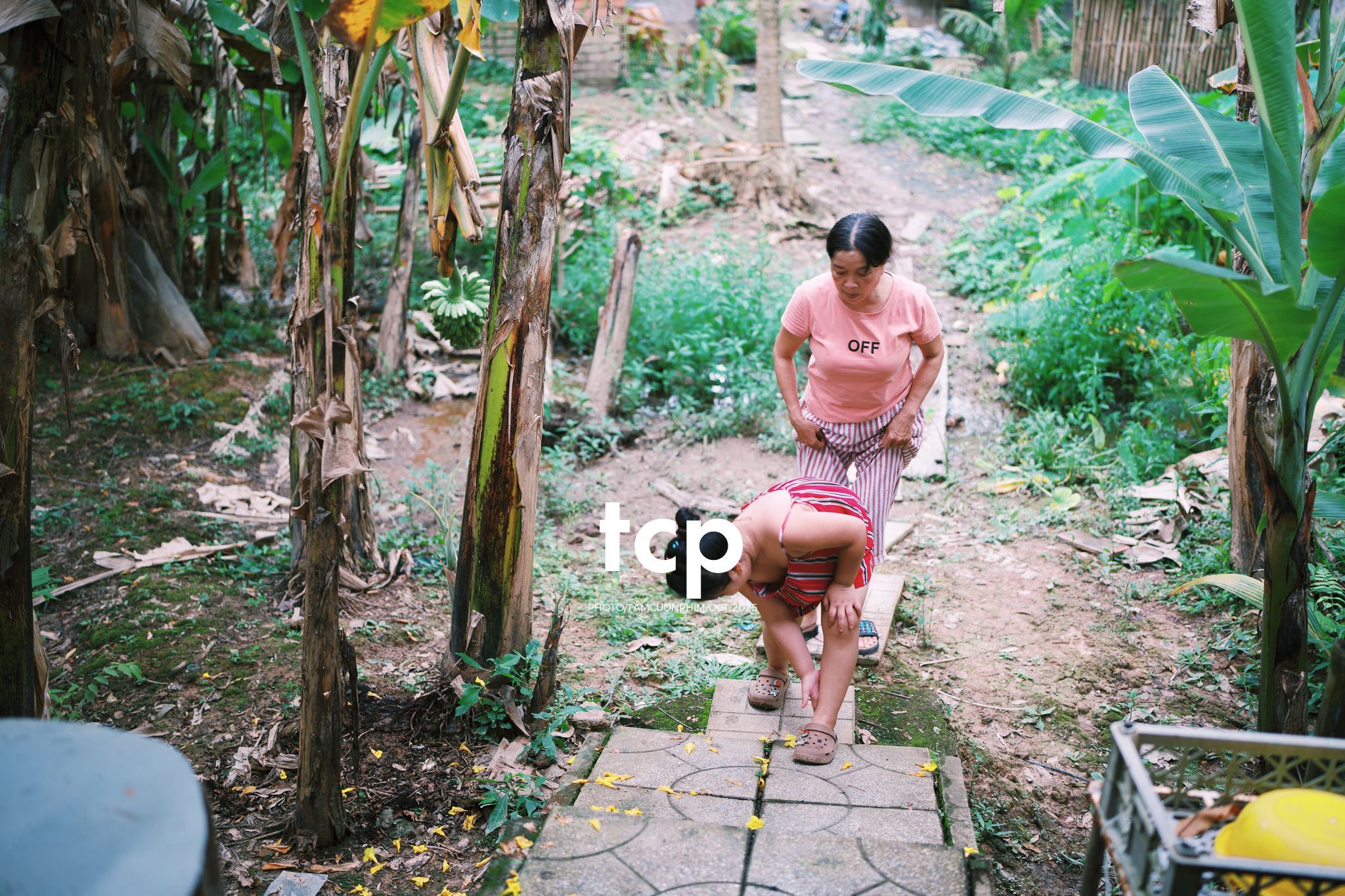 Tám Cuộn Phim - Những mảnh ghép bình yên của hạnh phúc giản đơn