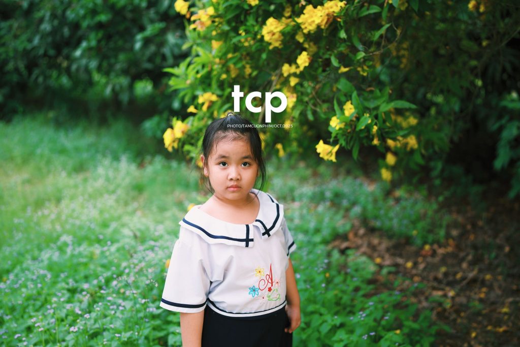 Tám Cuộn Phim - Những mảnh ghép bình yên của hạnh phúc giản đơn