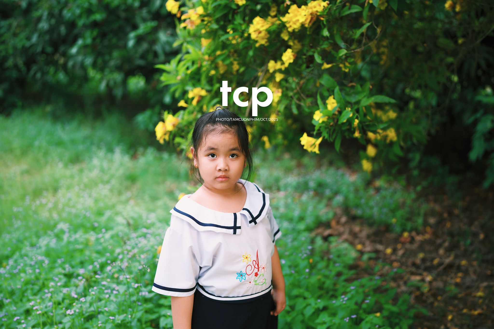 Tám Cuộn Phim - Những mảnh ghép bình yên của hạnh phúc giản đơn