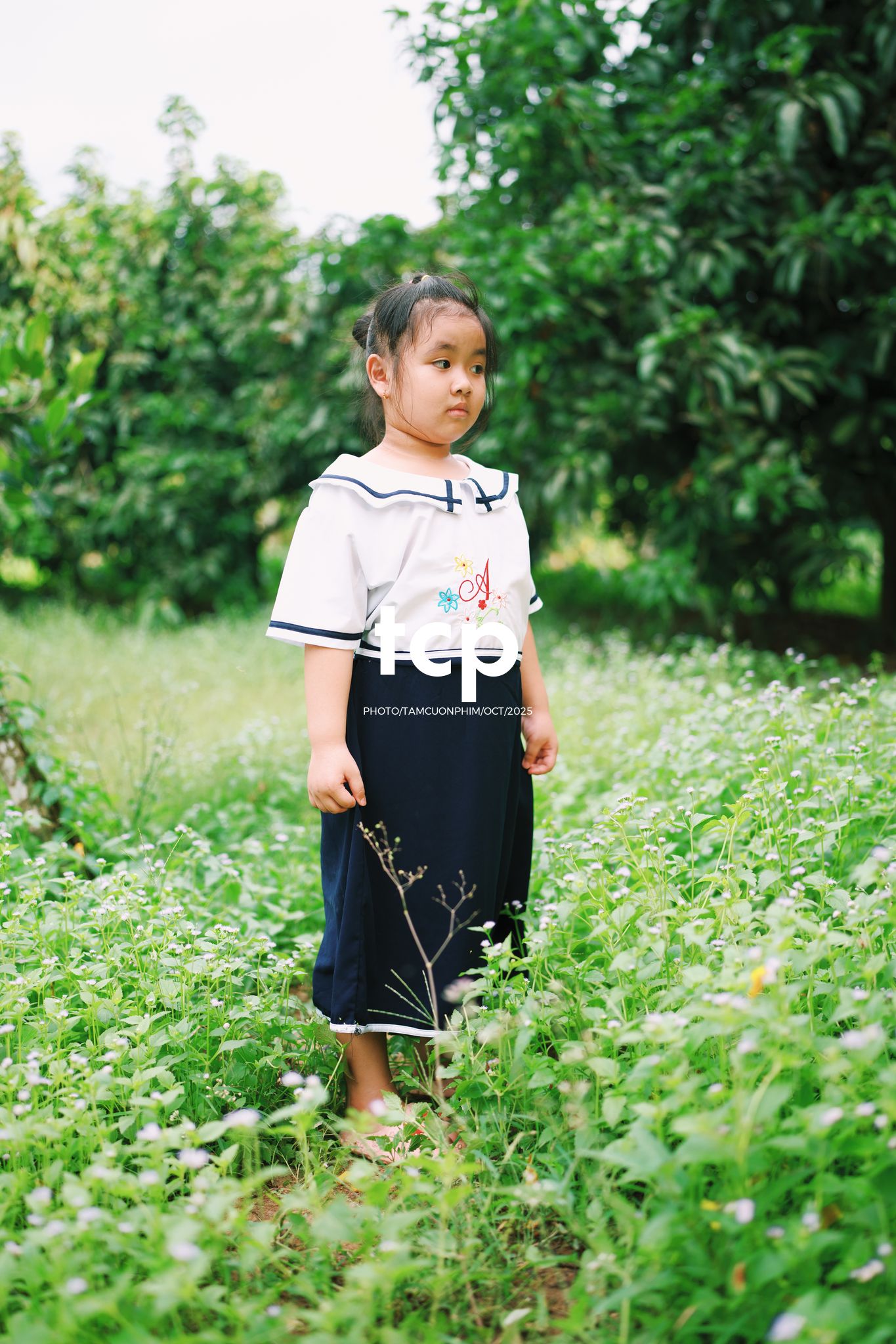 Tám Cuộn Phim - Những mảnh ghép bình yên của hạnh phúc giản đơn