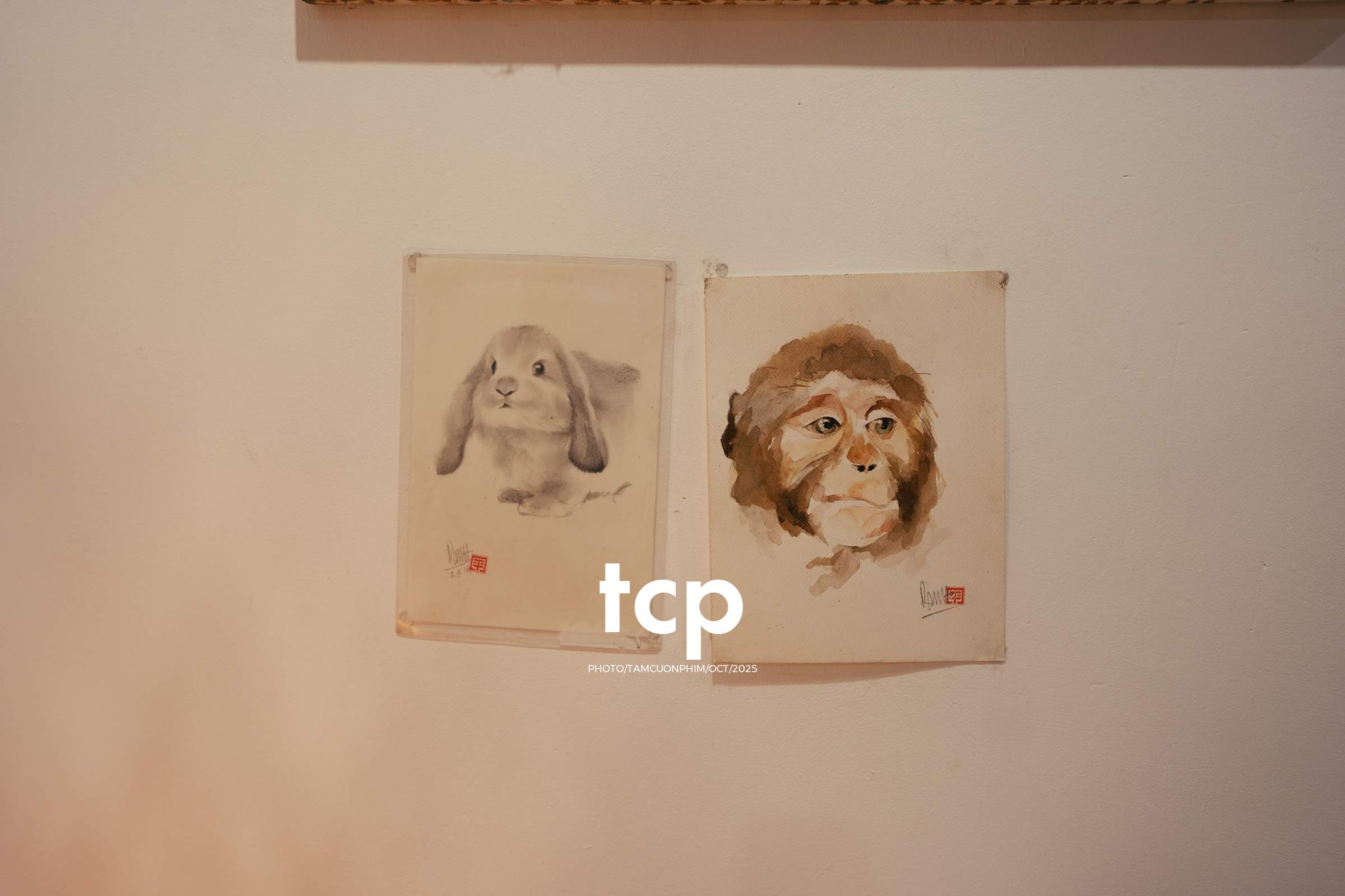 Tám Cuộn Phim - Cấu trúc của những mảnh ghép bất ngờ