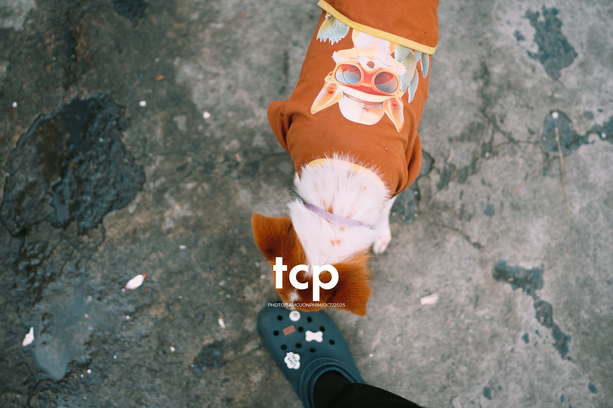 Tám Cuộn Phim - Khi cả đàn quyết định chiếm đóng vỉa hè phố núi