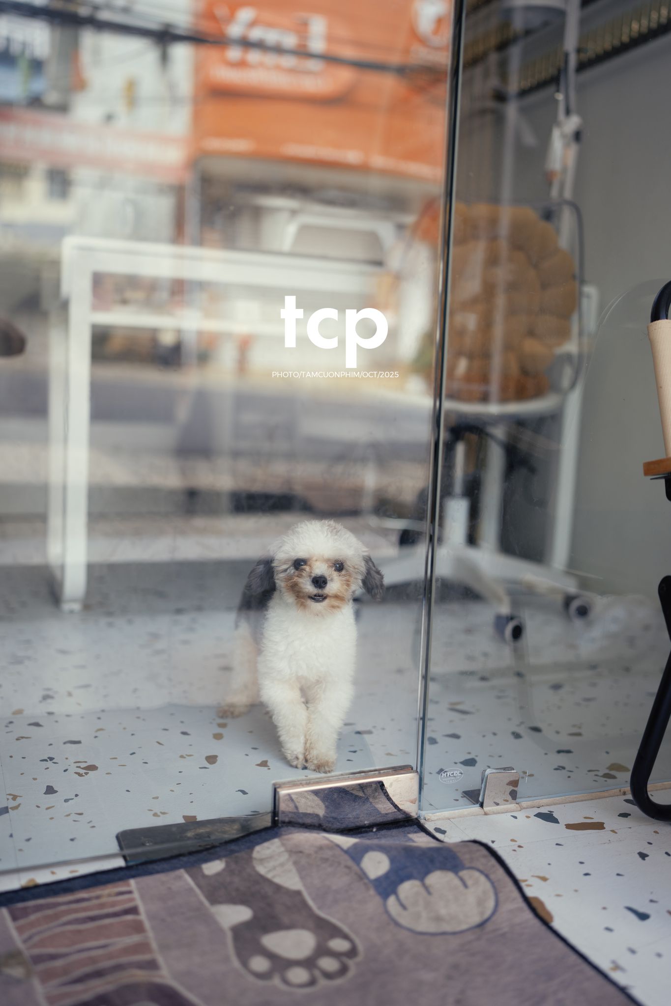 Tám Cuộn Phim - Khi cả đàn quyết định chiếm đóng vỉa hè phố núi