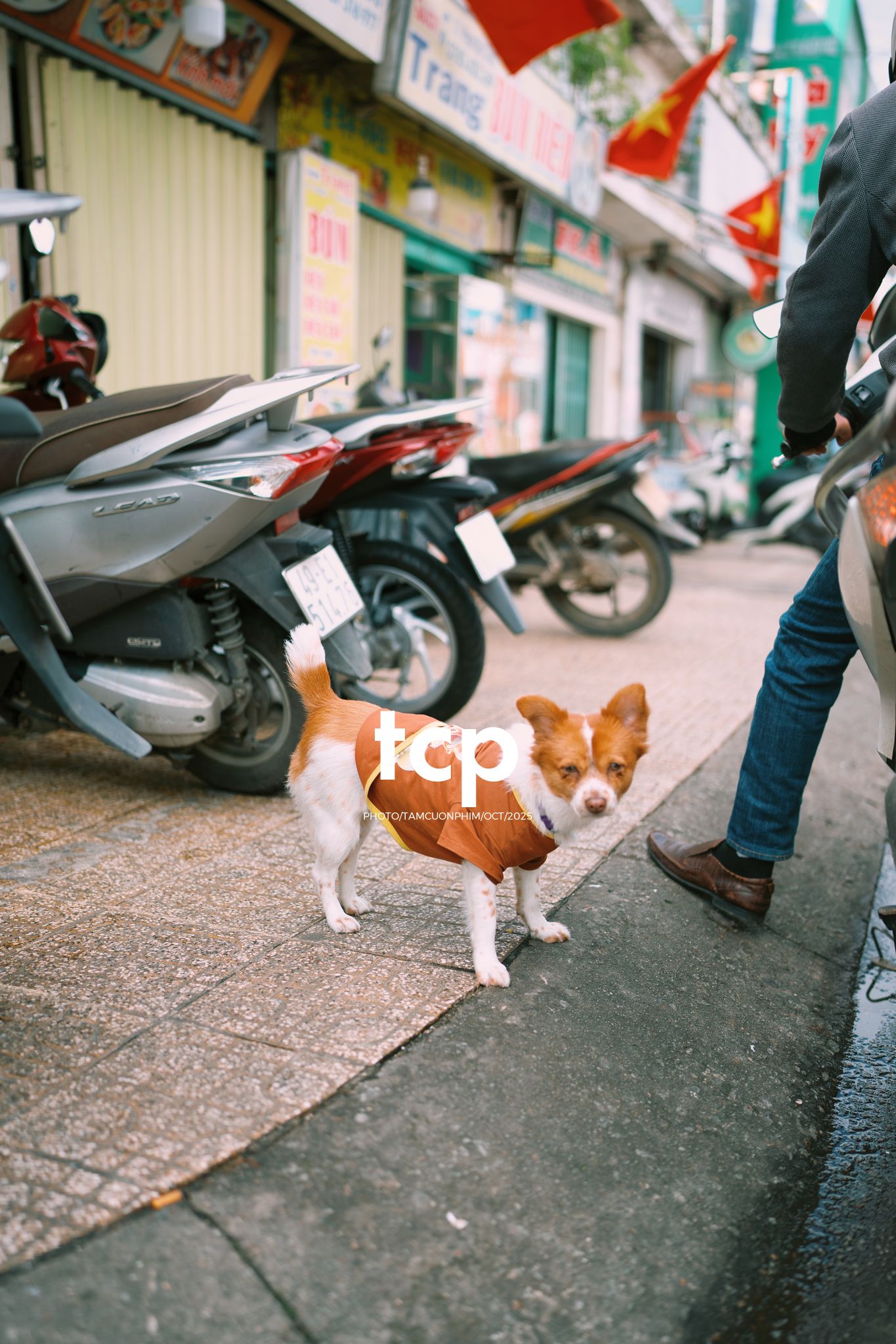 Tám Cuộn Phim - Khi cả đàn quyết định chiếm đóng vỉa hè phố núi