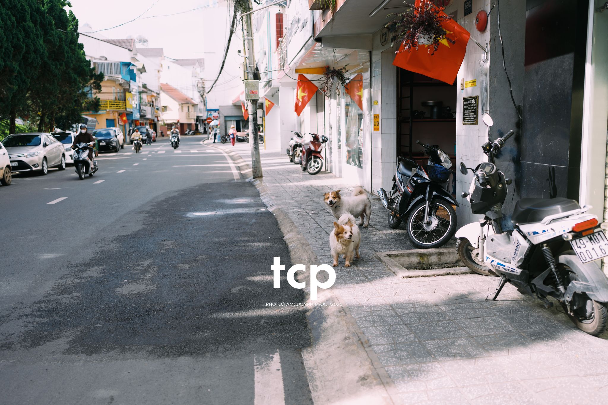 Tám Cuộn Phim - Khi cả đàn quyết định chiếm đóng vỉa hè phố núi