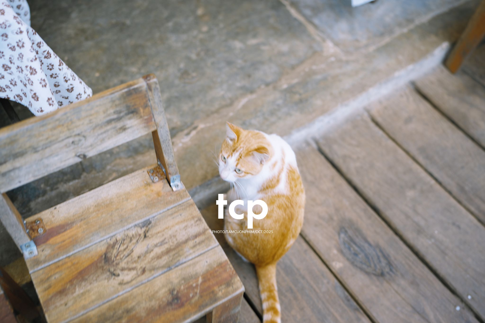 Tám Cuộn Phim - Khi cả đàn quyết định chiếm đóng vỉa hè phố núi